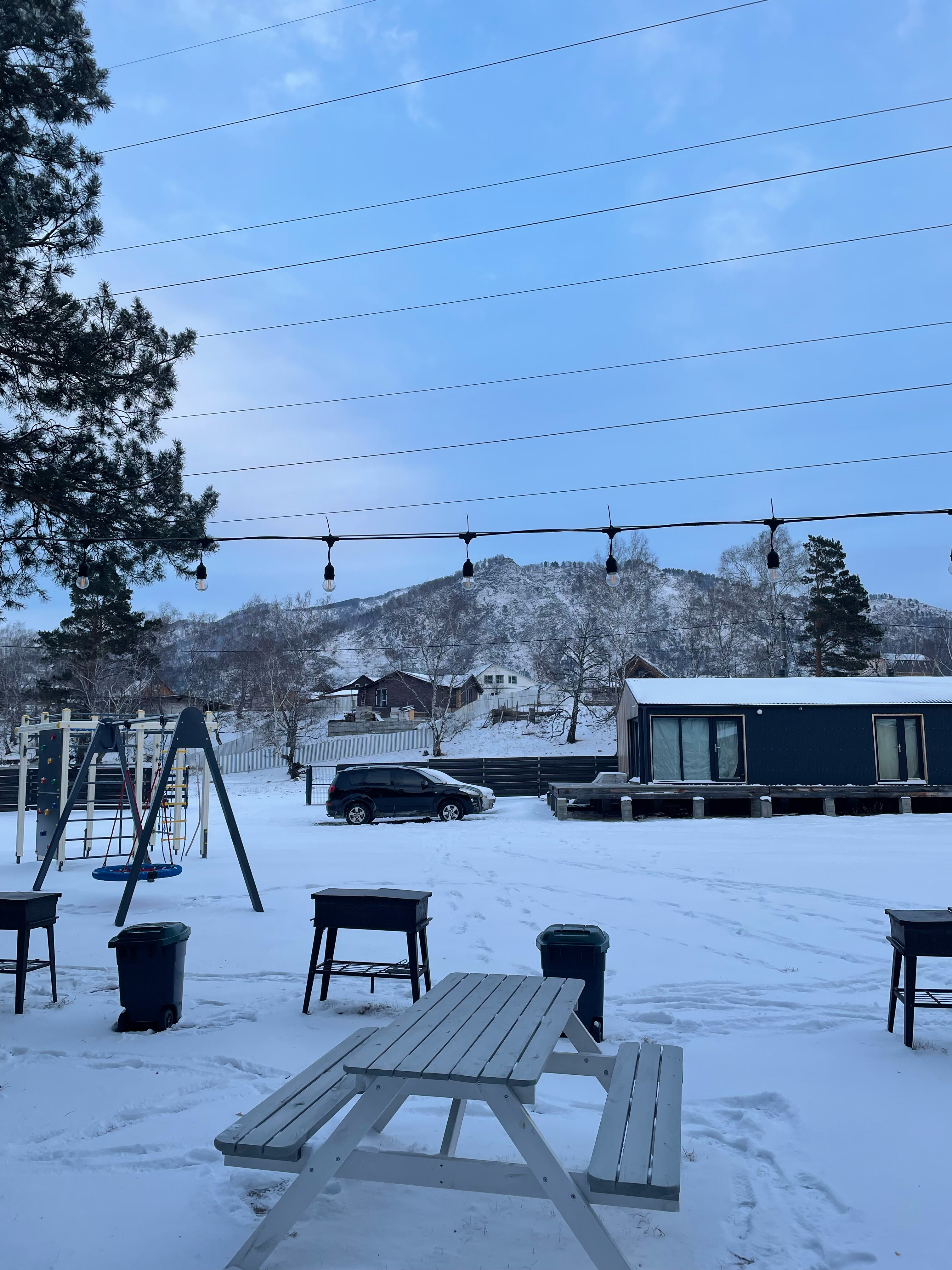 Фото Алтерия