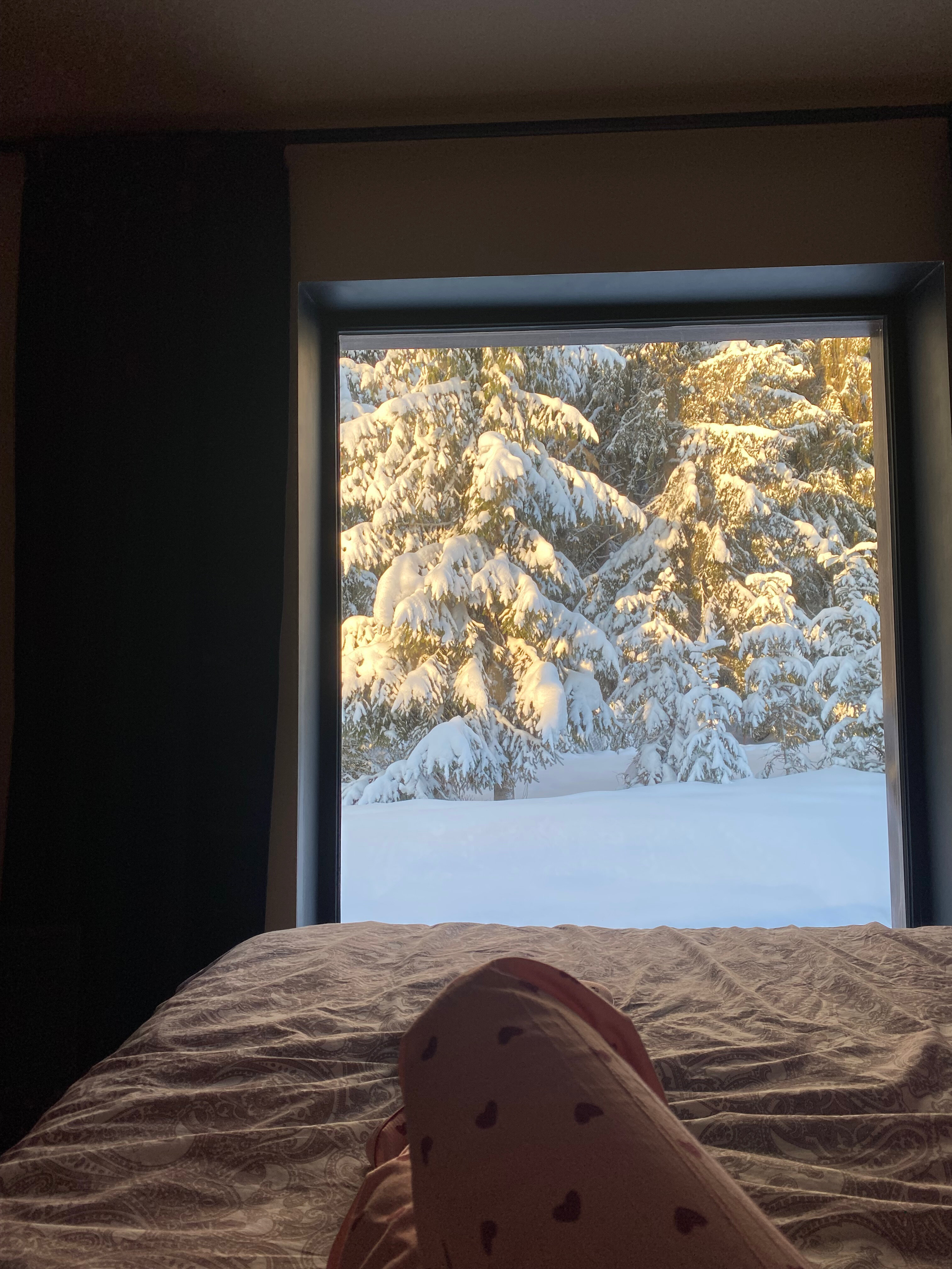 Фото Гусихаус