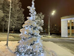 Заводоуправление Славнефть-ЯНОС (Moskovskiy Avenue, 130), oficina de organización