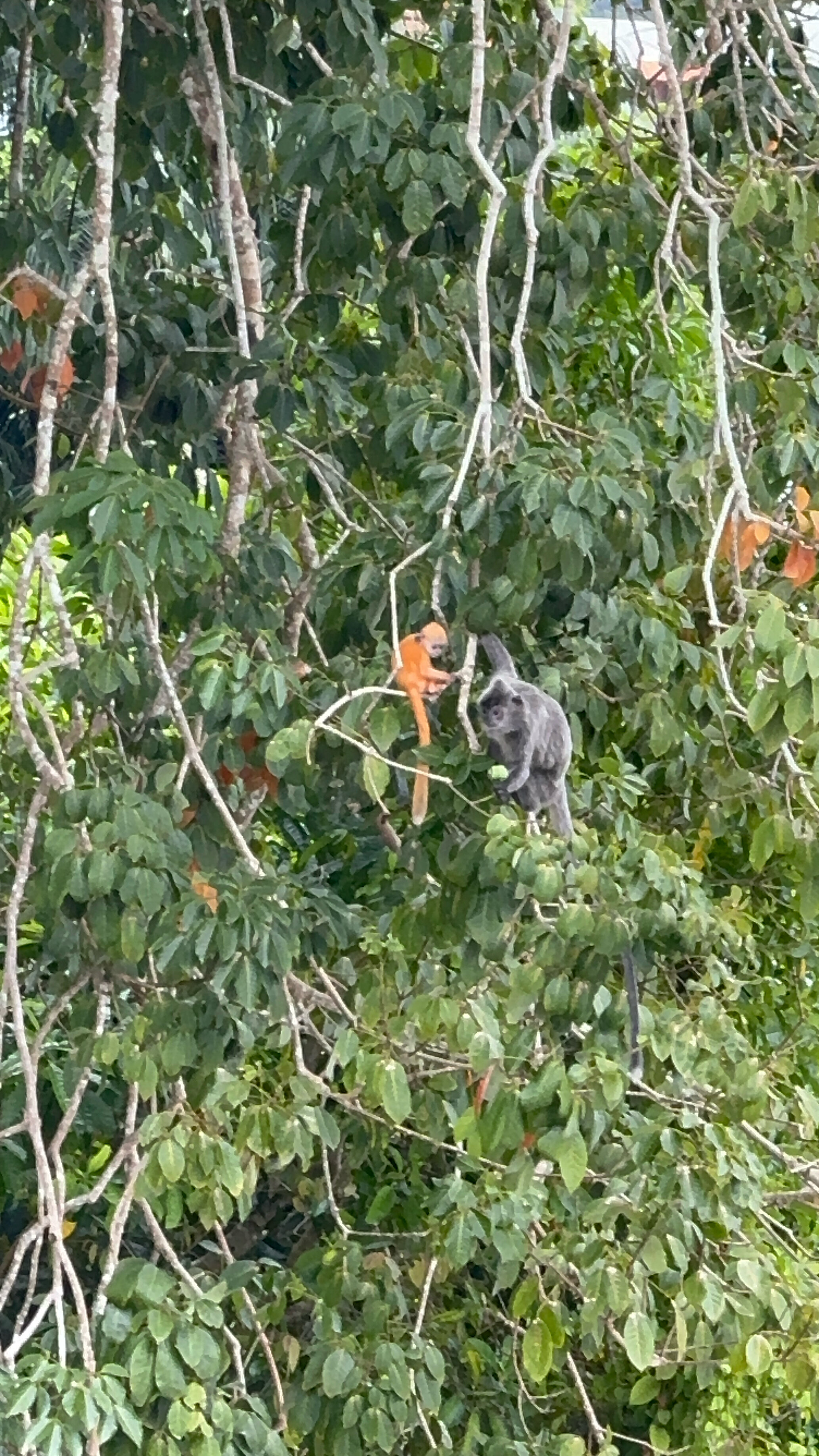 Фото Radisson Hotel Brunei Darussalam