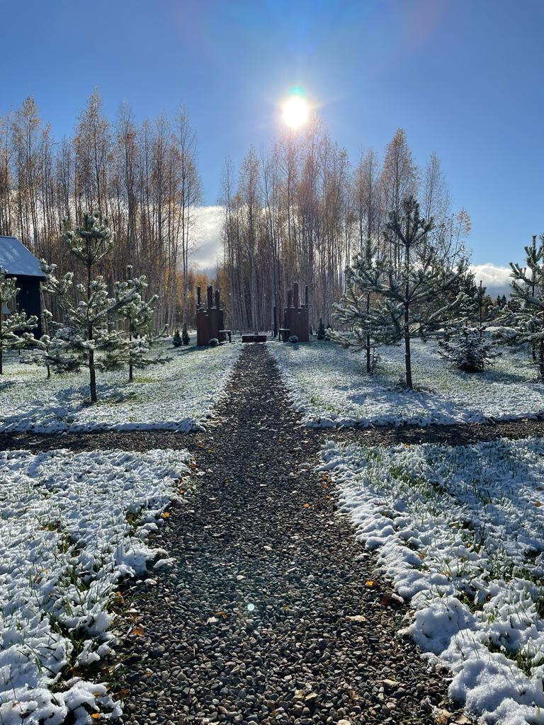 Фото Эко дача Берёза