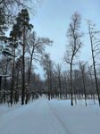 Старт лыжной трассы (Московская область, городской округ Подольск, парк Дубровицкий лес), лыжная база в Москве и Московской области