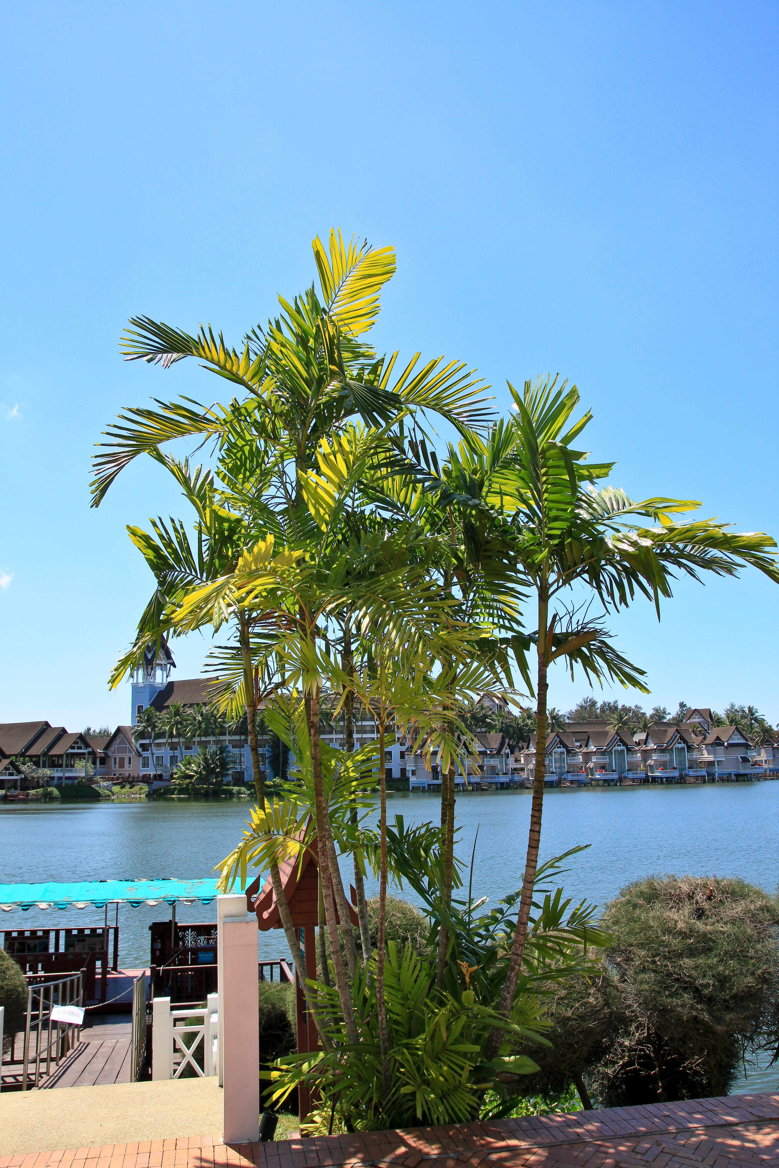 Фото Allamanda Laguna Phuket by Resava