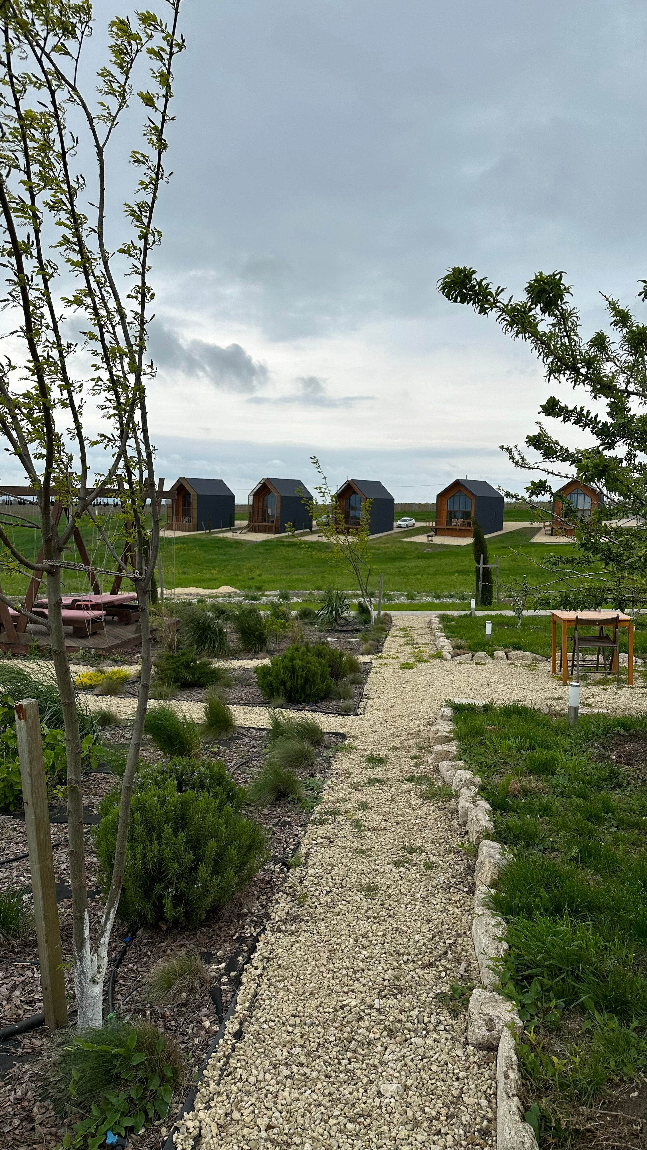 Фото Фридом