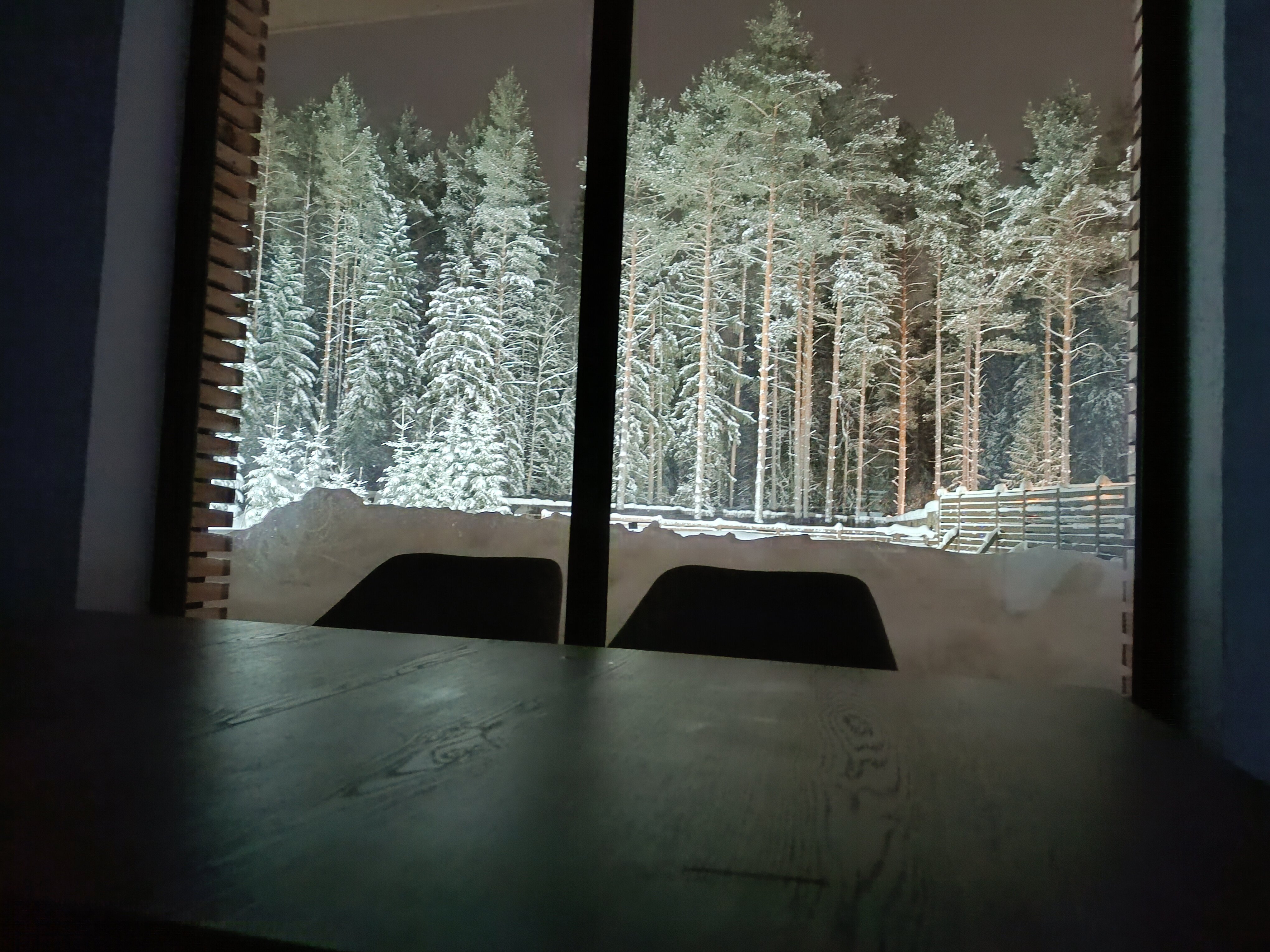 Фото Лесной дом