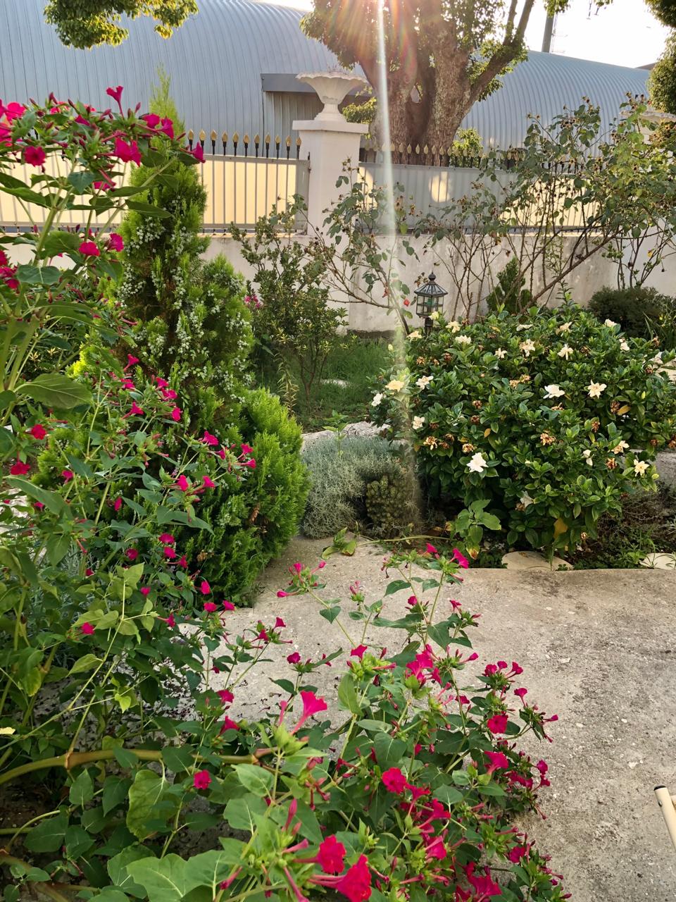 Фото Белый дом балерины