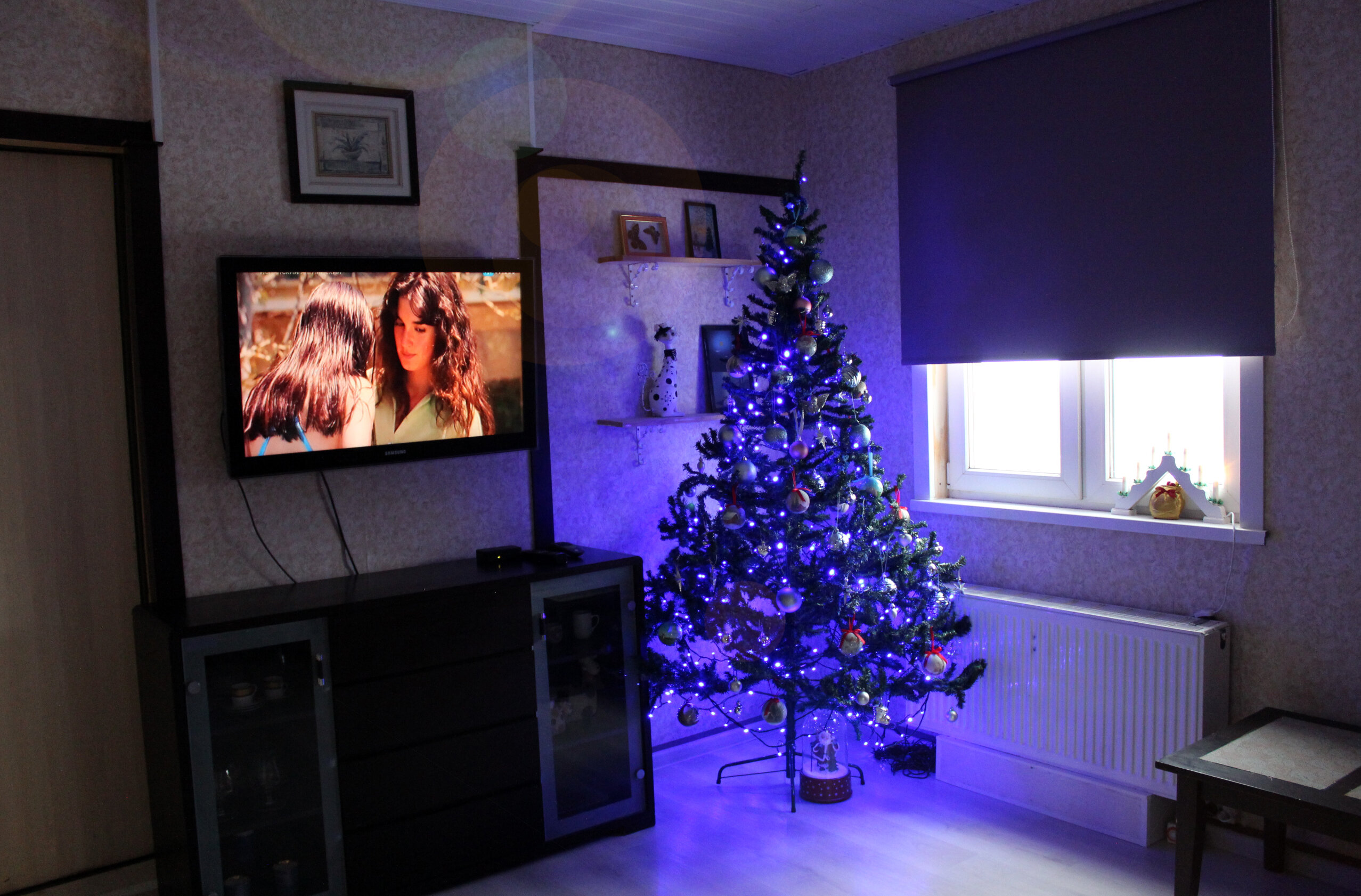 Фото Гнездо