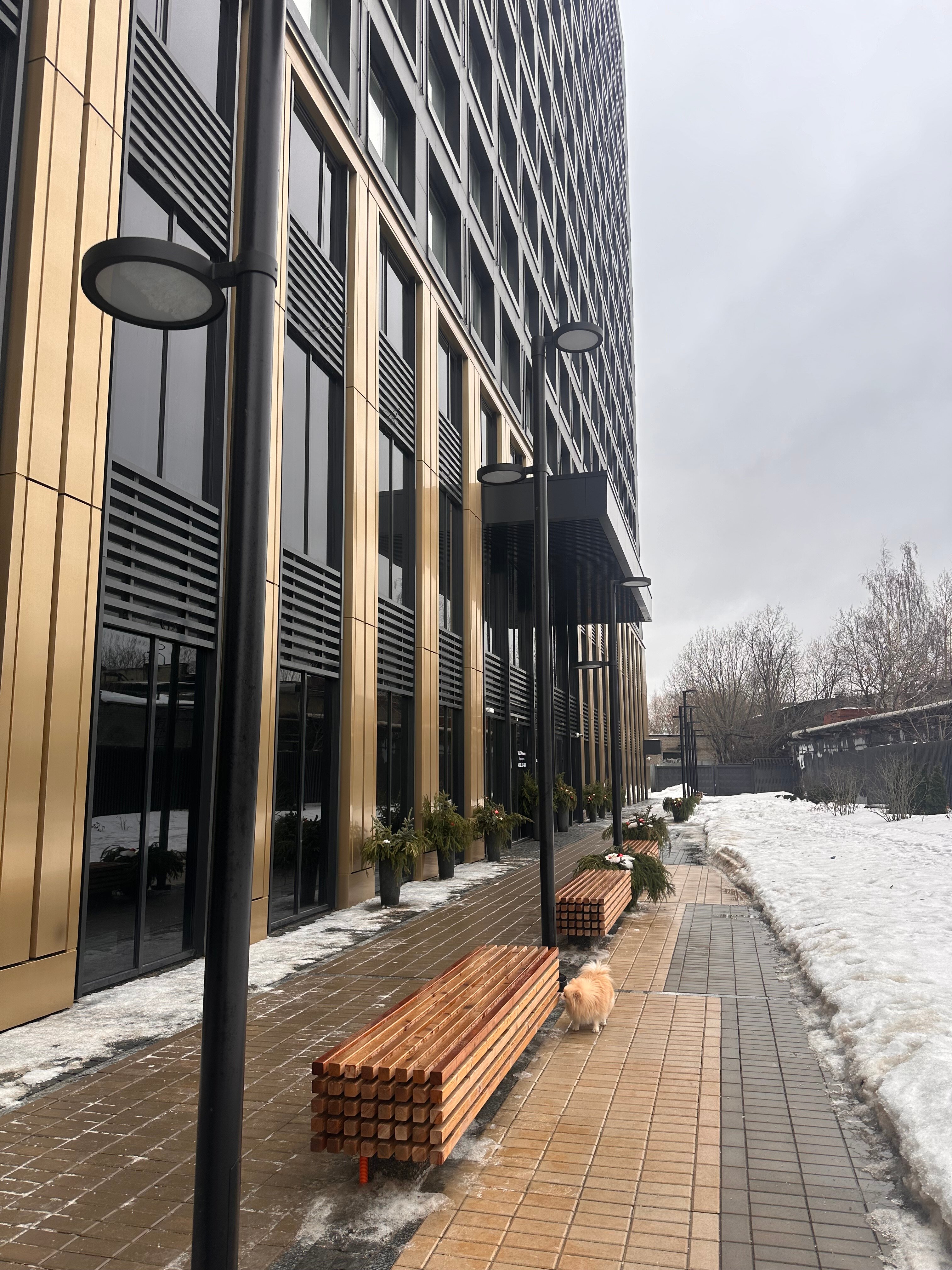 Фото Valo Network