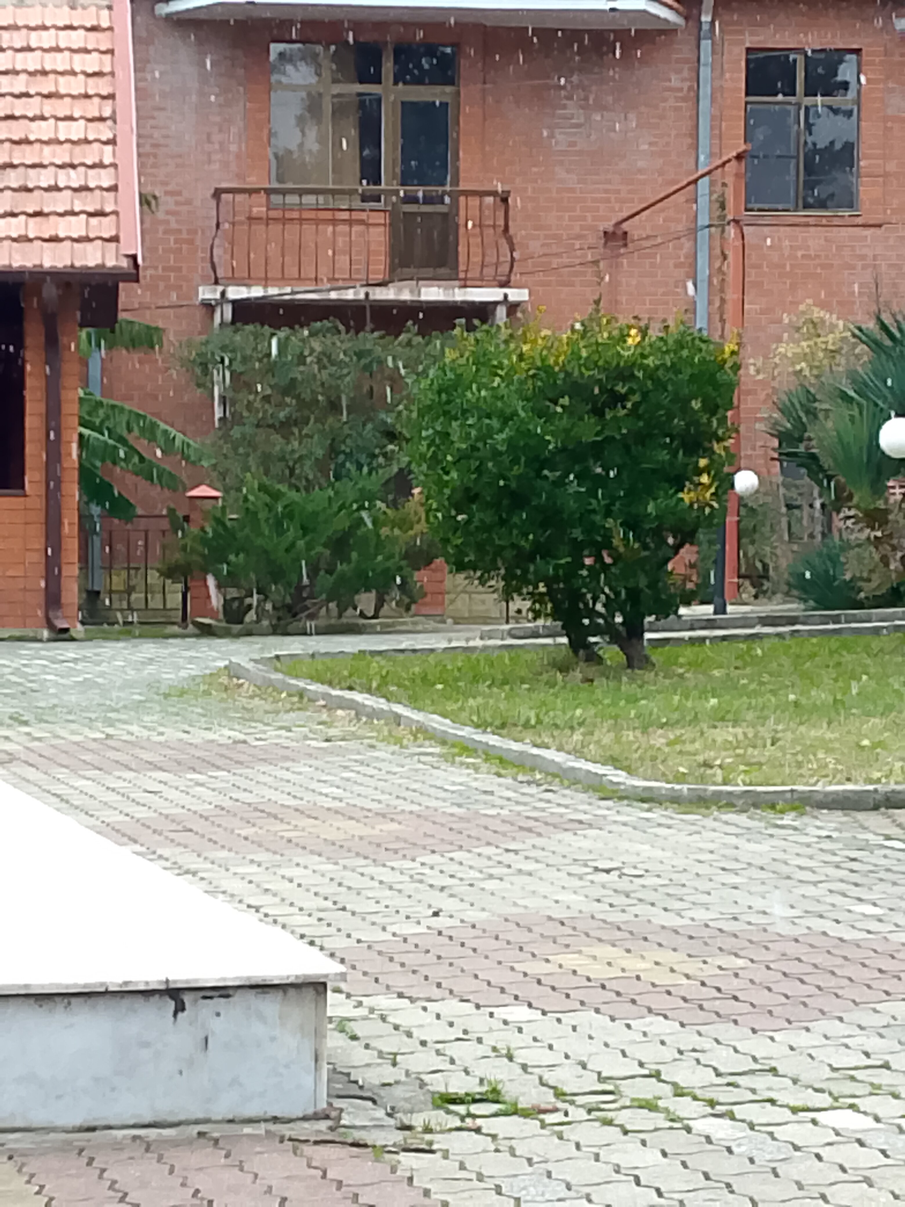 Фото Пенаты