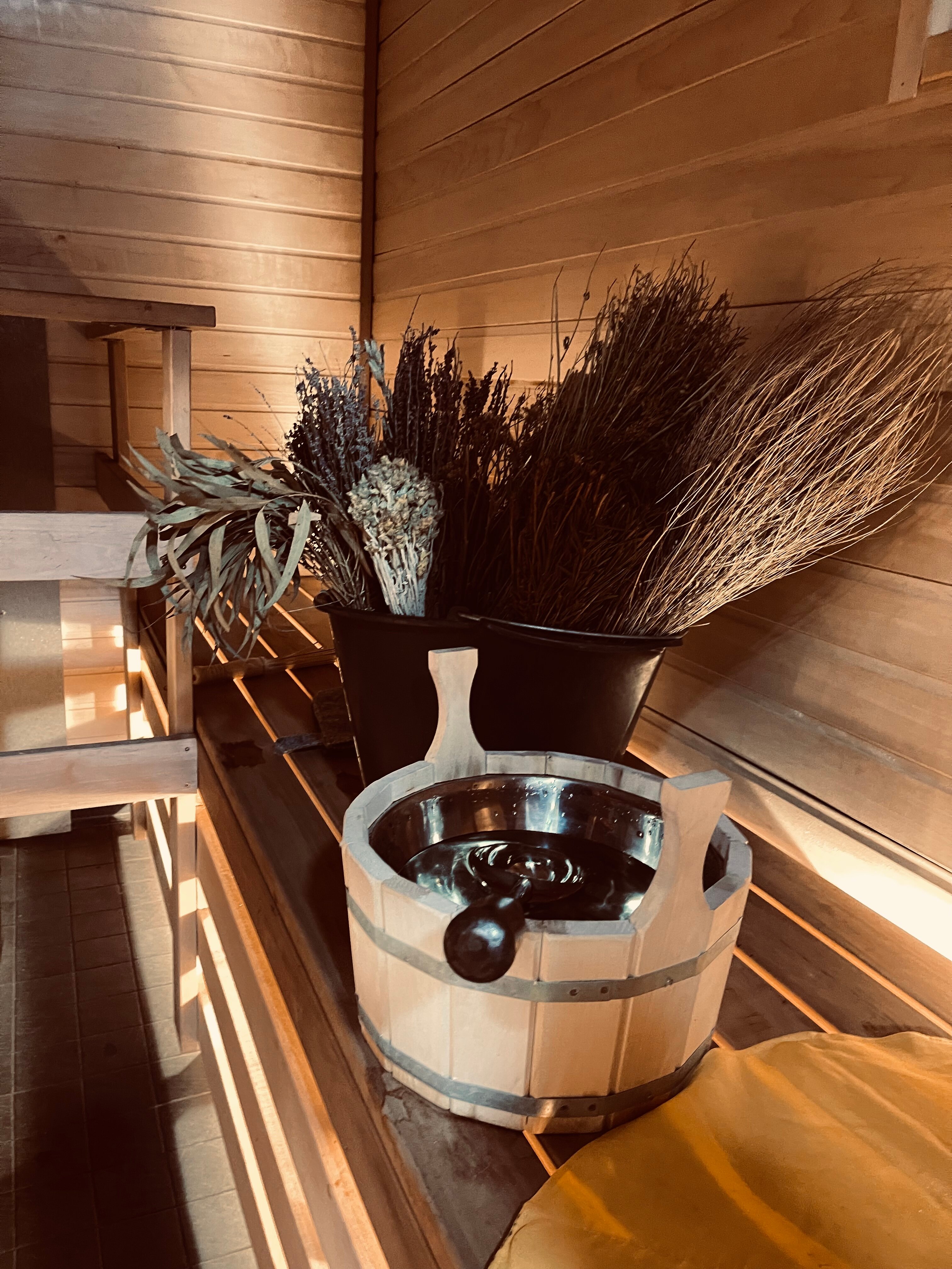 Фото Волшебный лес