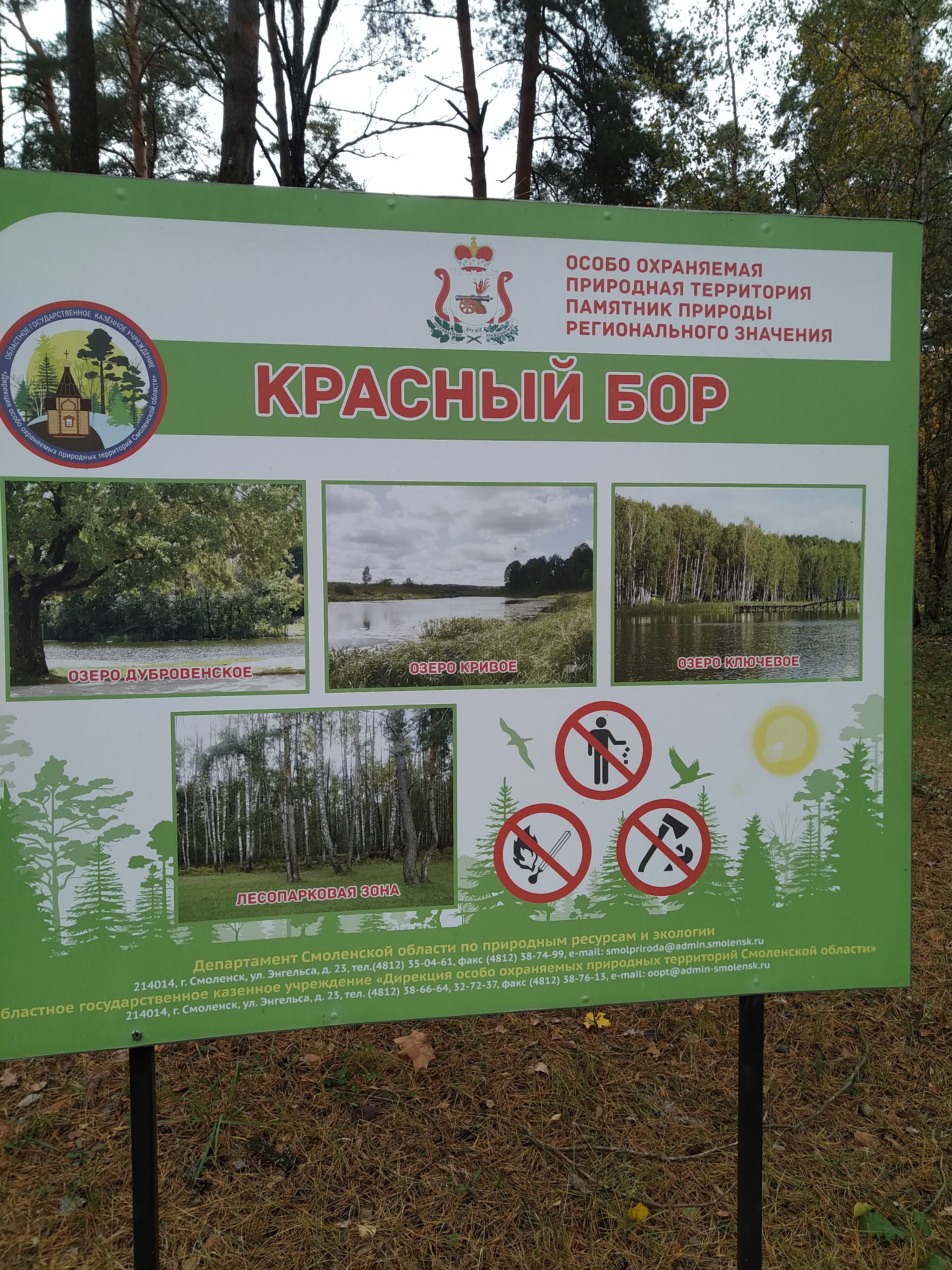 Фото Красный бор