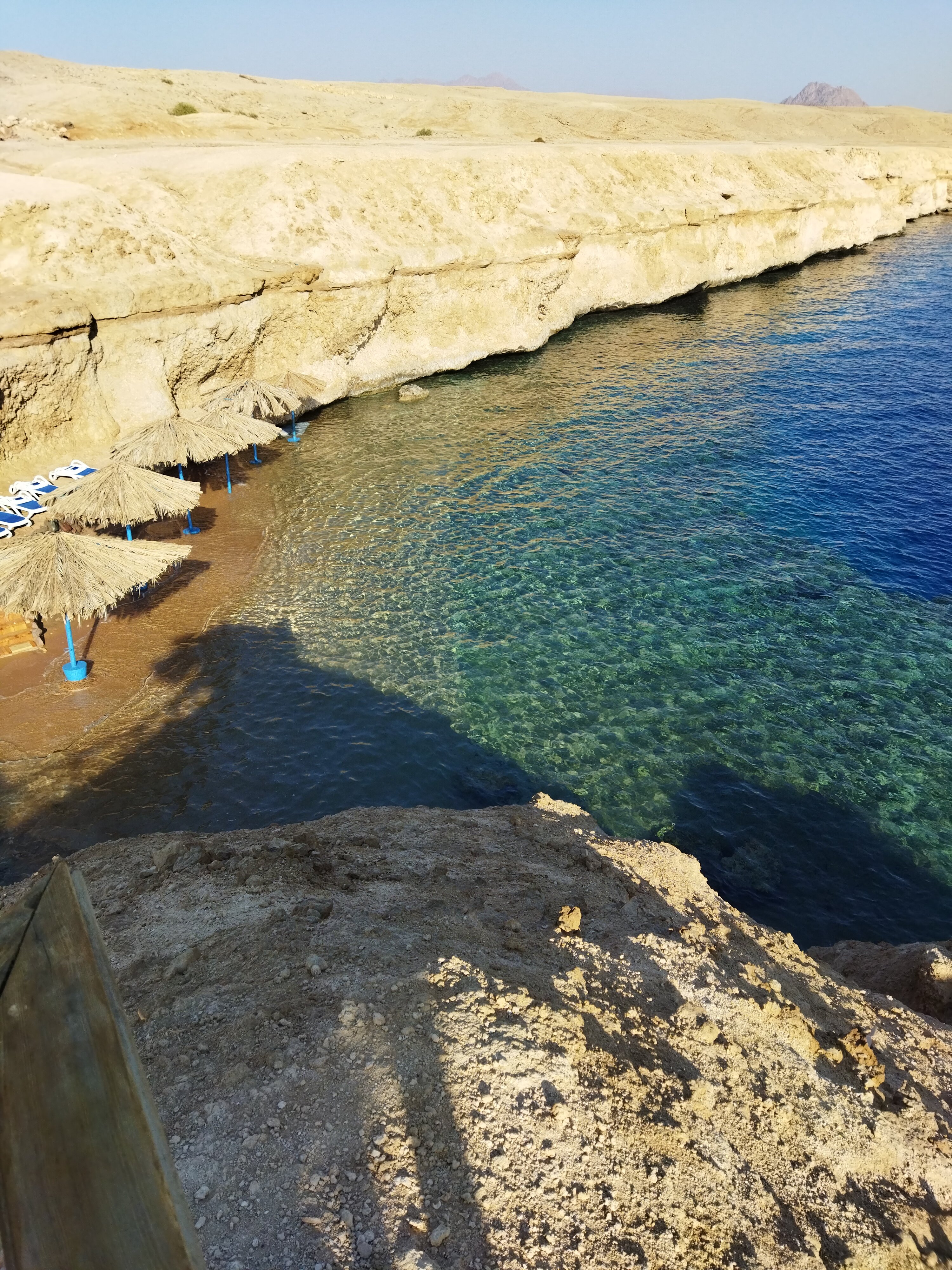 Фото Club Reef Resort