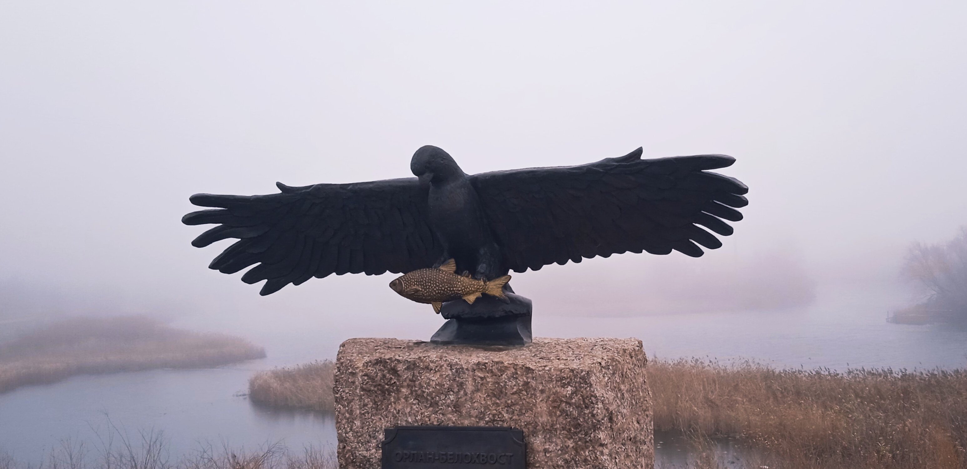 Фото Централь Отель