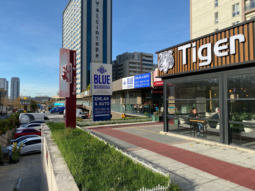 Real estate agency Blue Marmara Real Estate & Automotive, Istanbul, photo