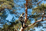 WoodArbo (Balaklavskiy Avenue, 20к1), industrial mountaineering