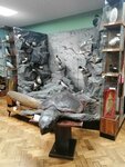 Экспозиция истории Пинро (ул. Академика Книповича, 6, Мурманск), музей в Мурманске