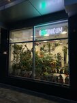 Botanicum (Nesterova Street, 22), landscaping of premises