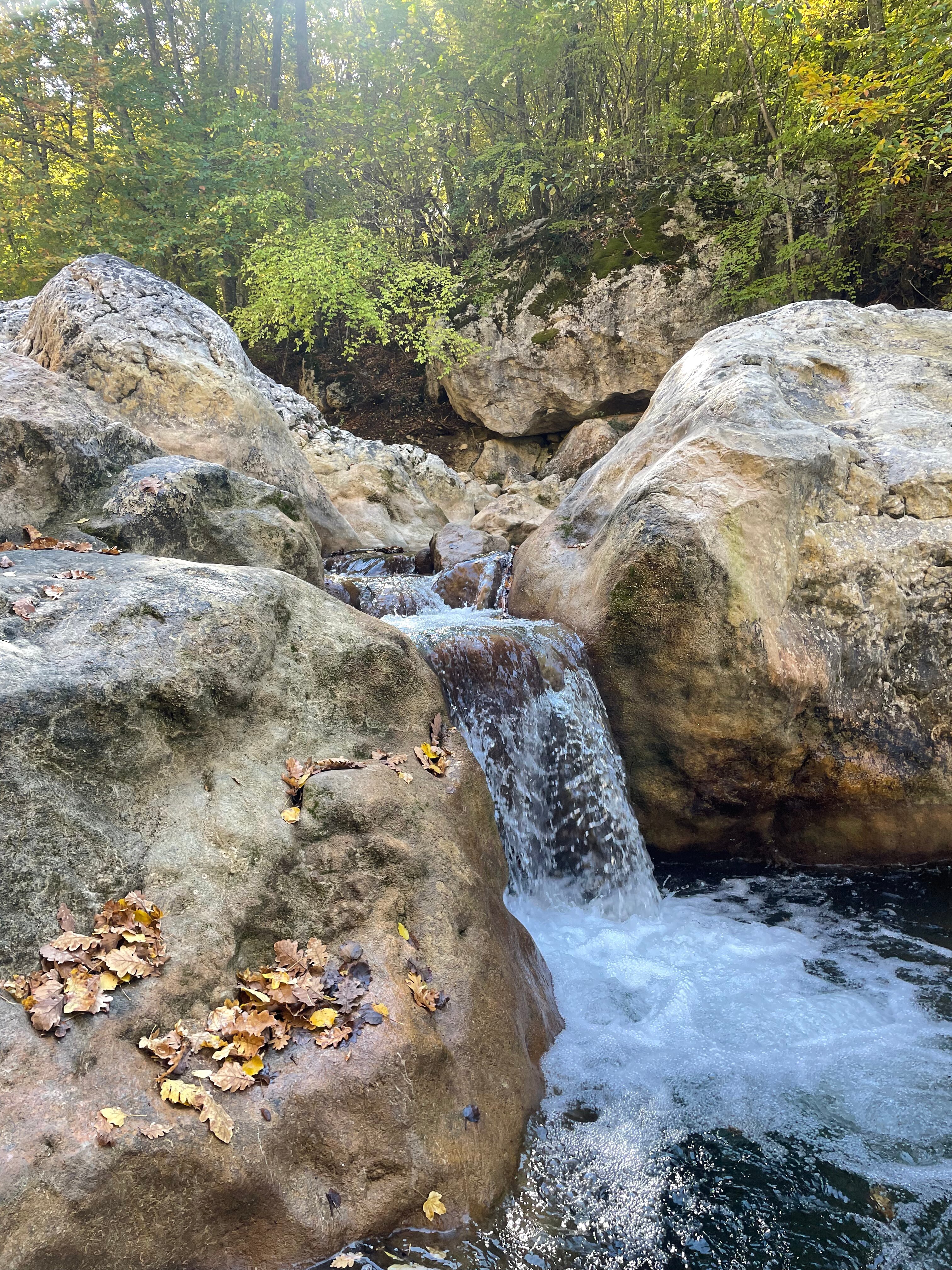 Фото Коккоз