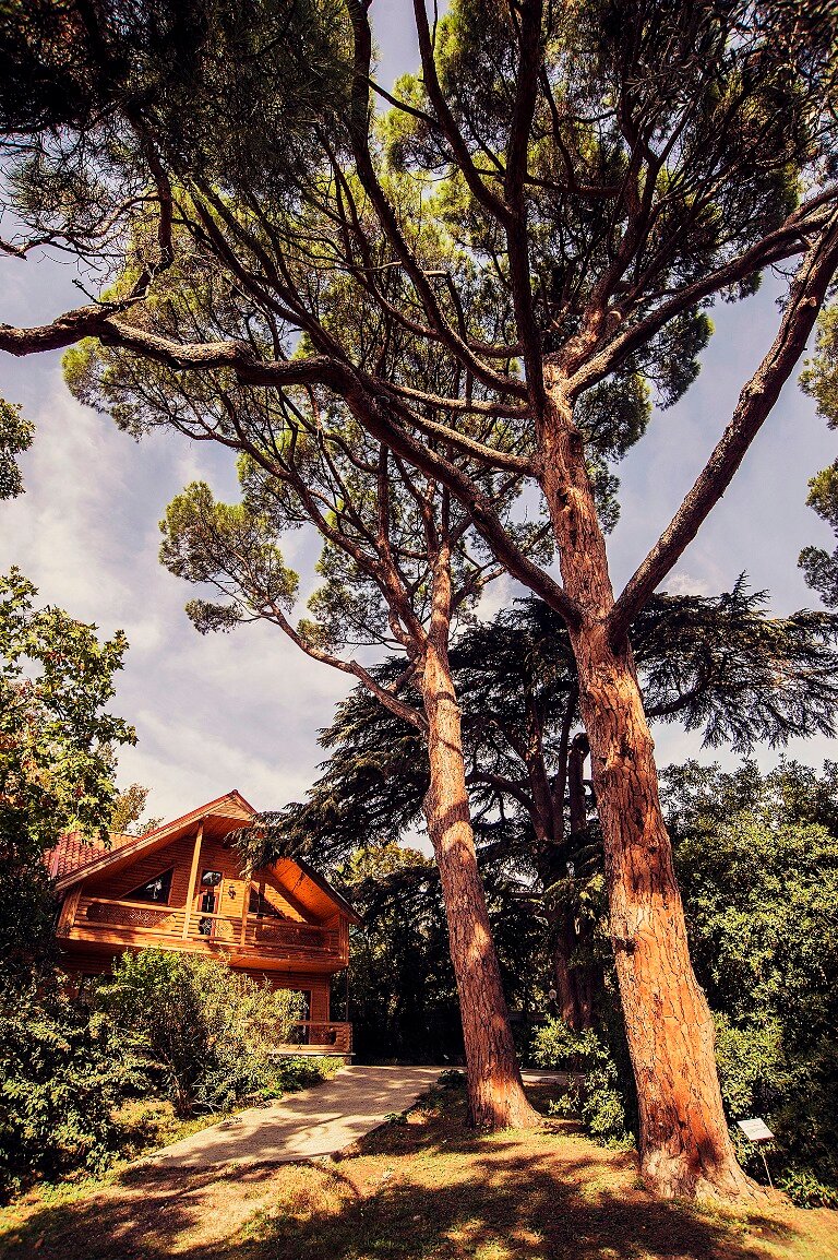 Фото Пушкино