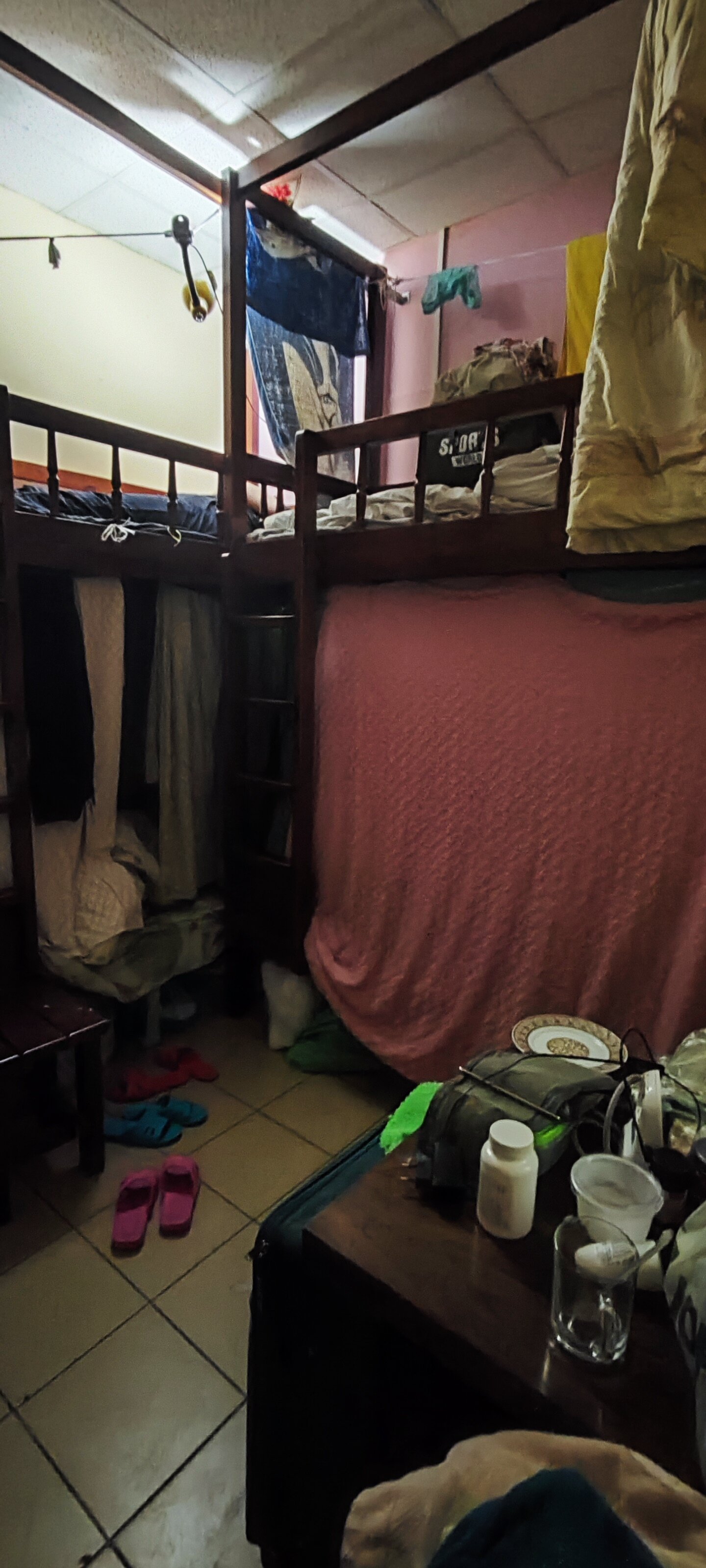 Фото Вежливый лось