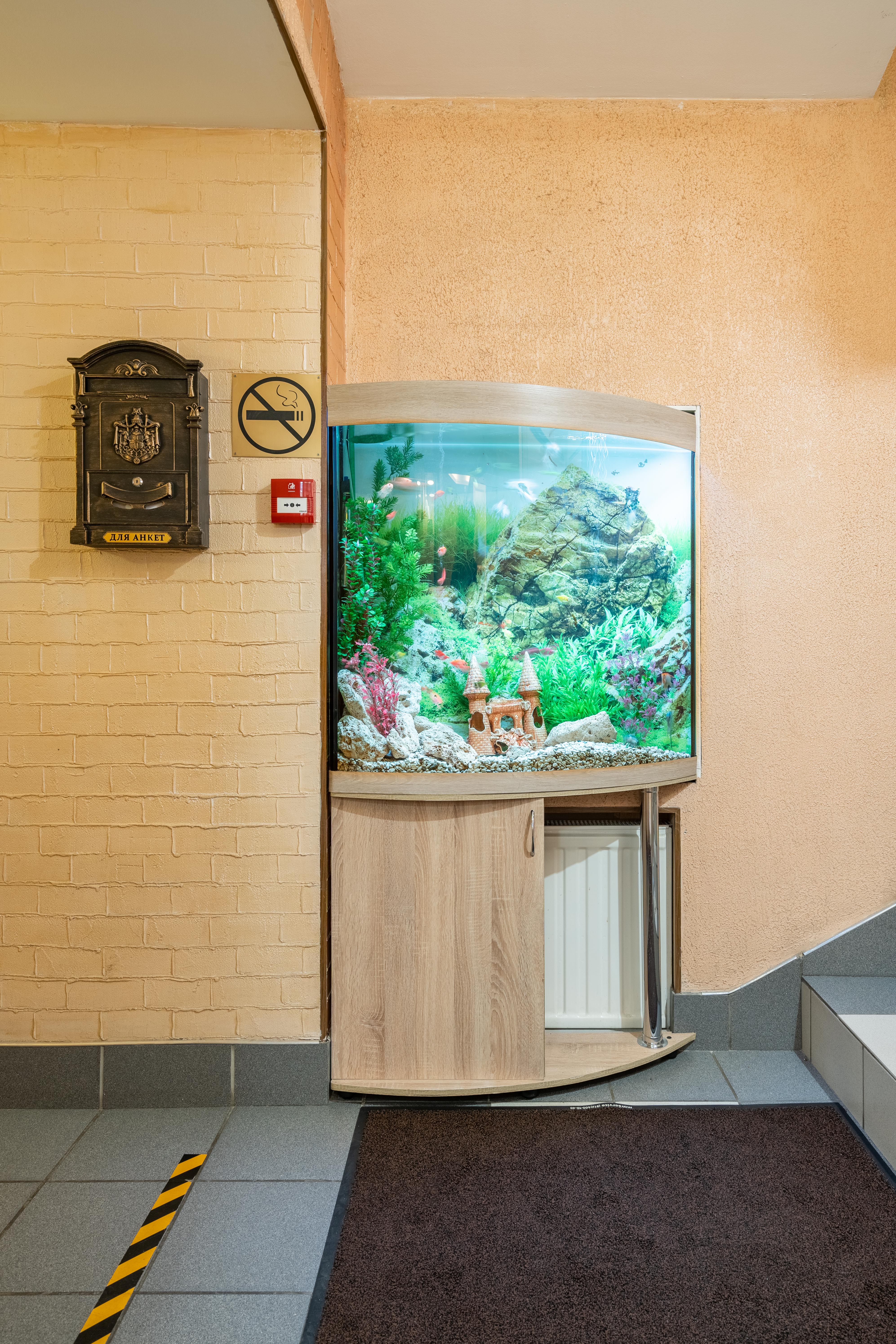 Фото Евразия