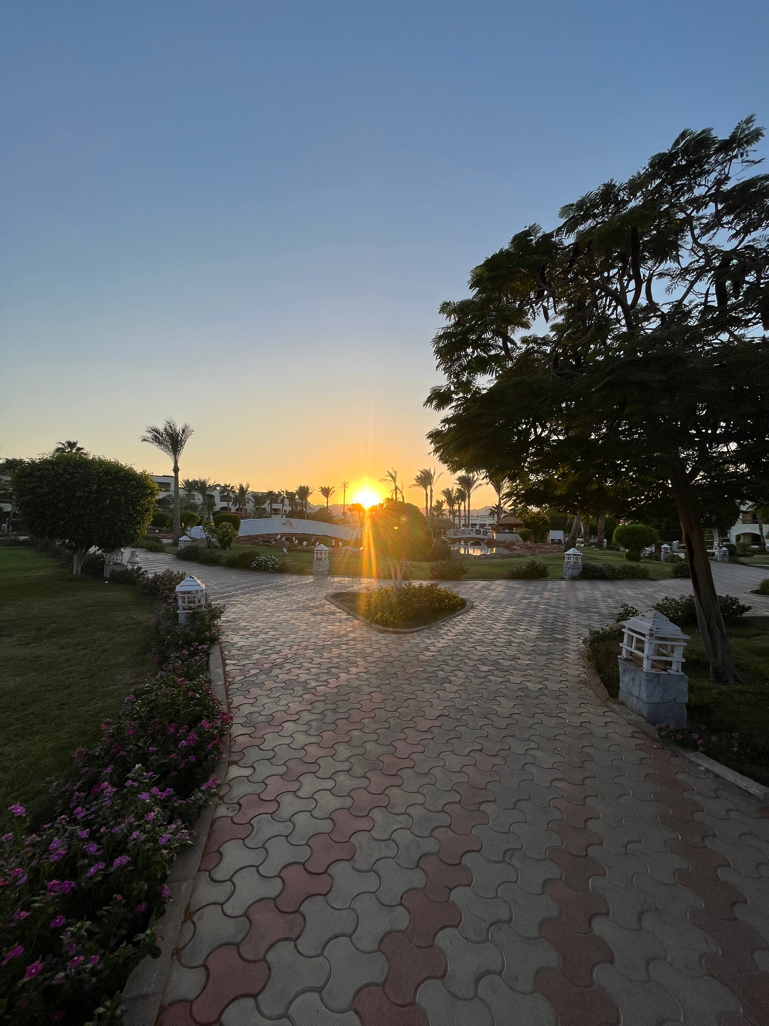 Фото Romance Regency Club