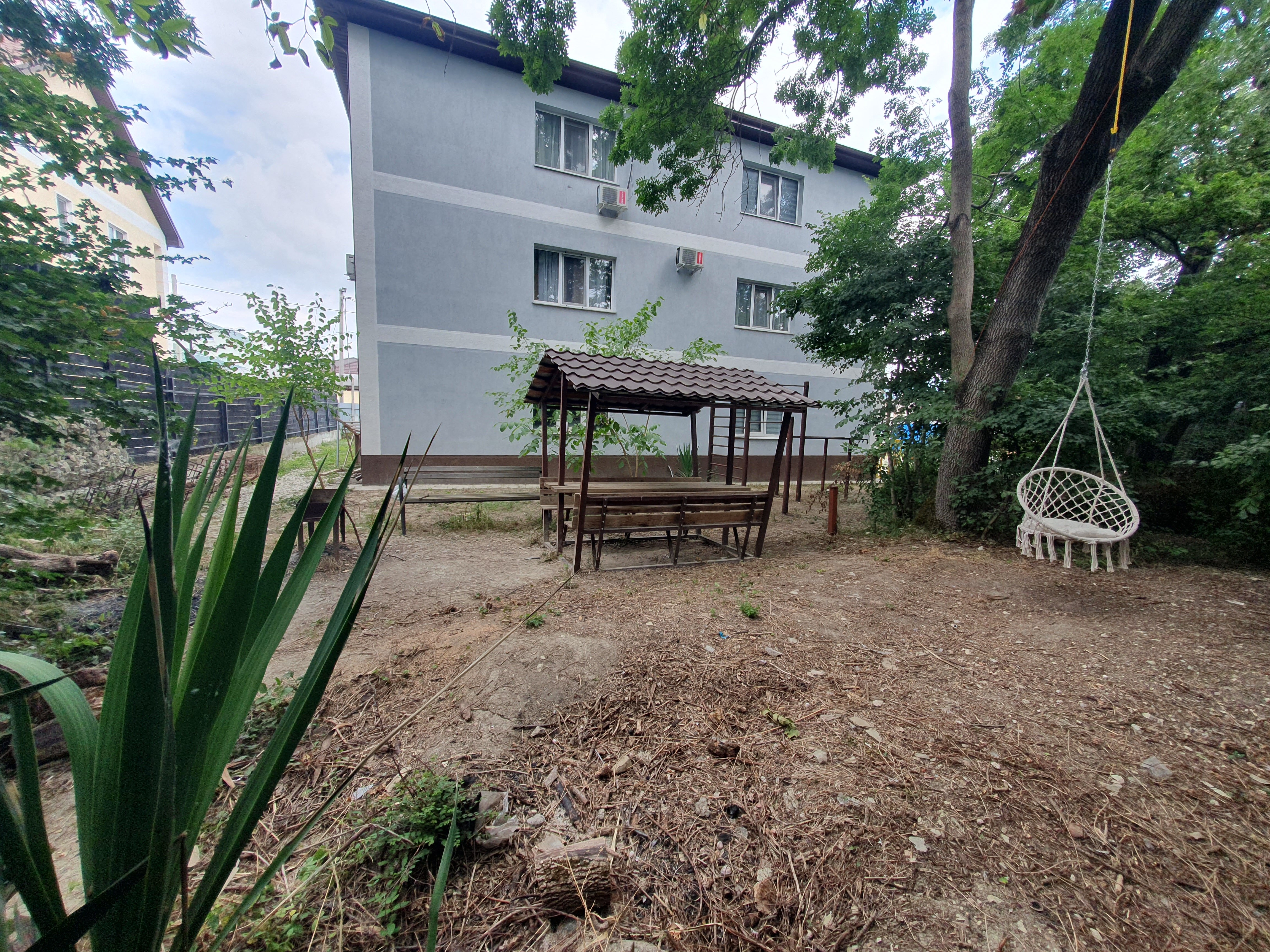 Фото Барсук