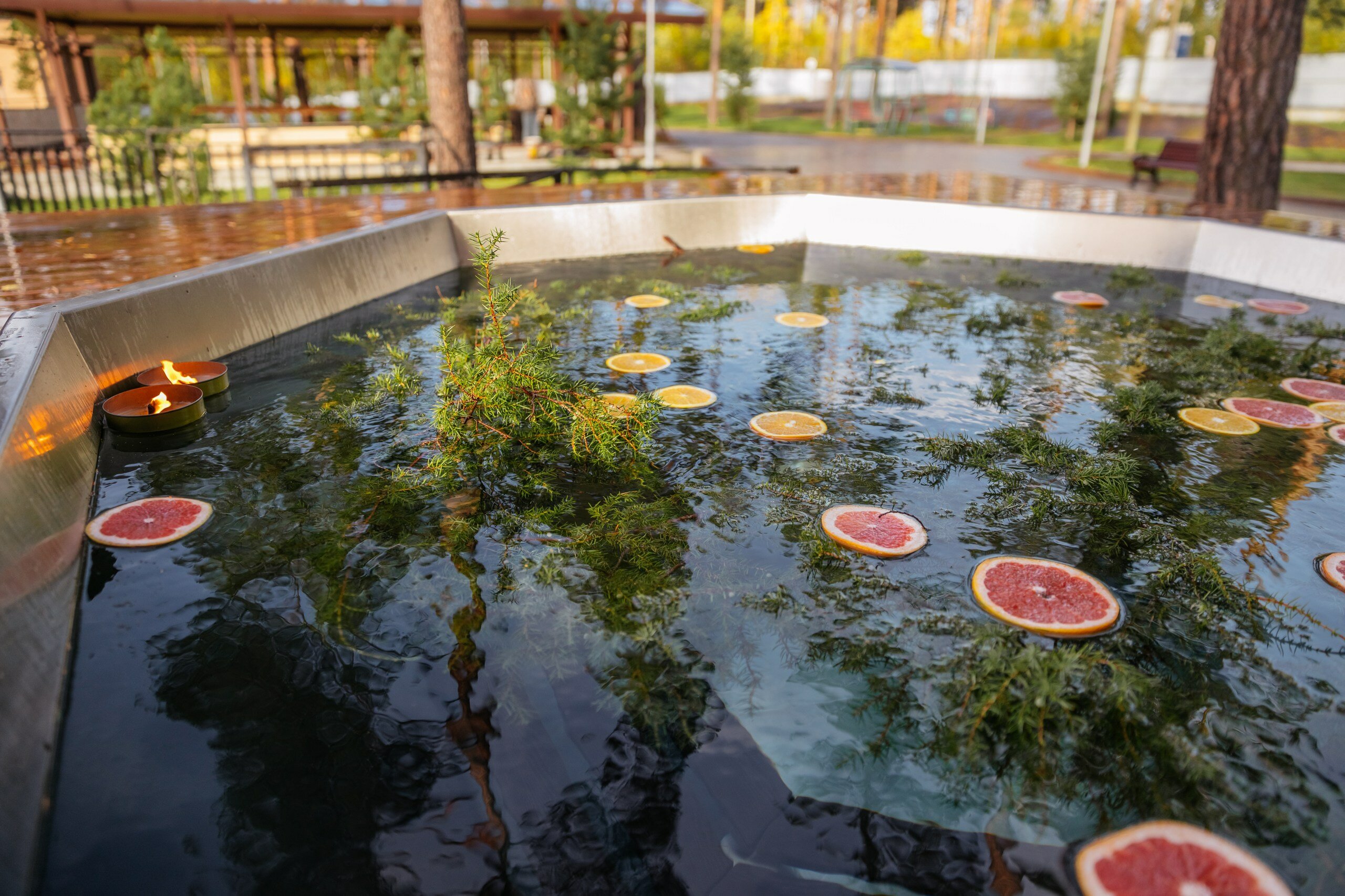 Фото Северный сад