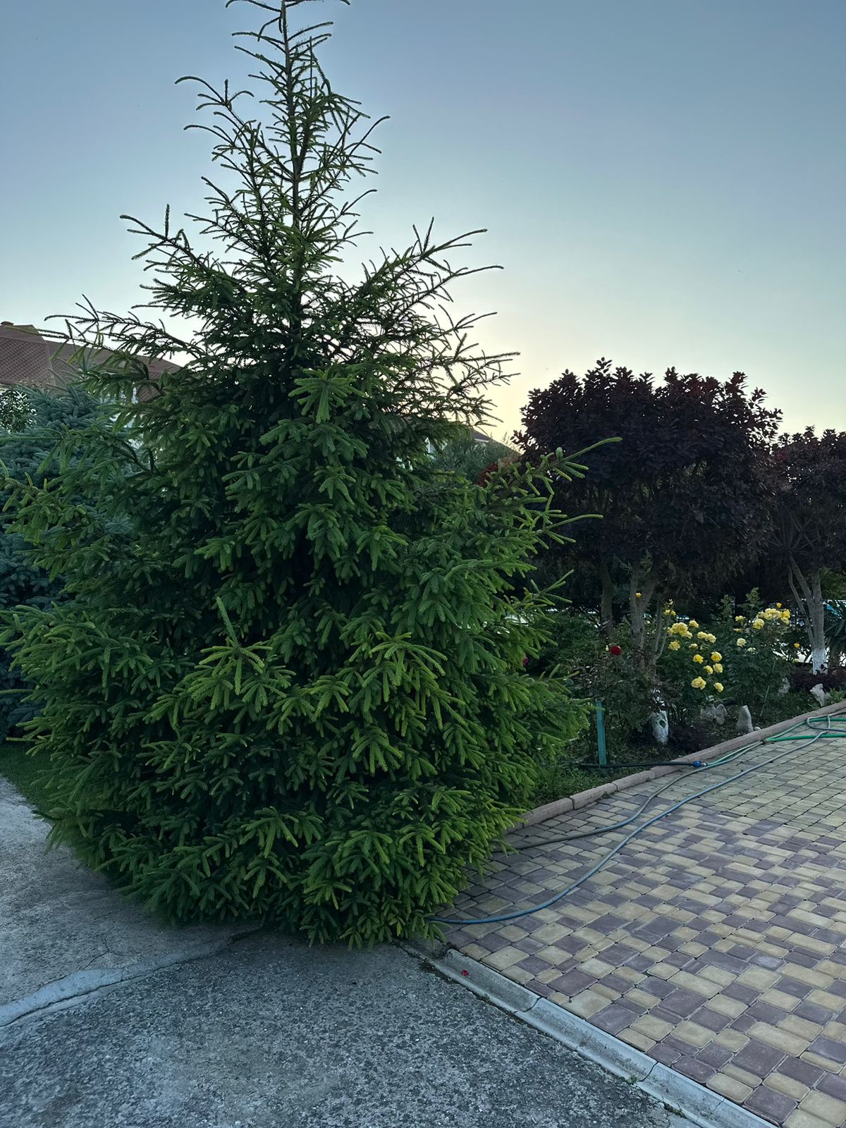 Фото ВИКТОРиЯ