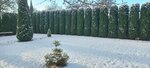Фермерское хозяйство Евросад (Town of Biaroza, Sadovaja vulica, 9), vivero de plantas