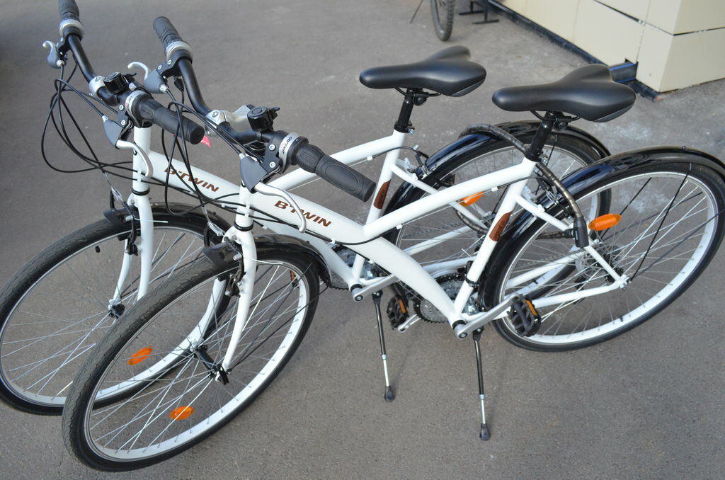 Фото Крылья