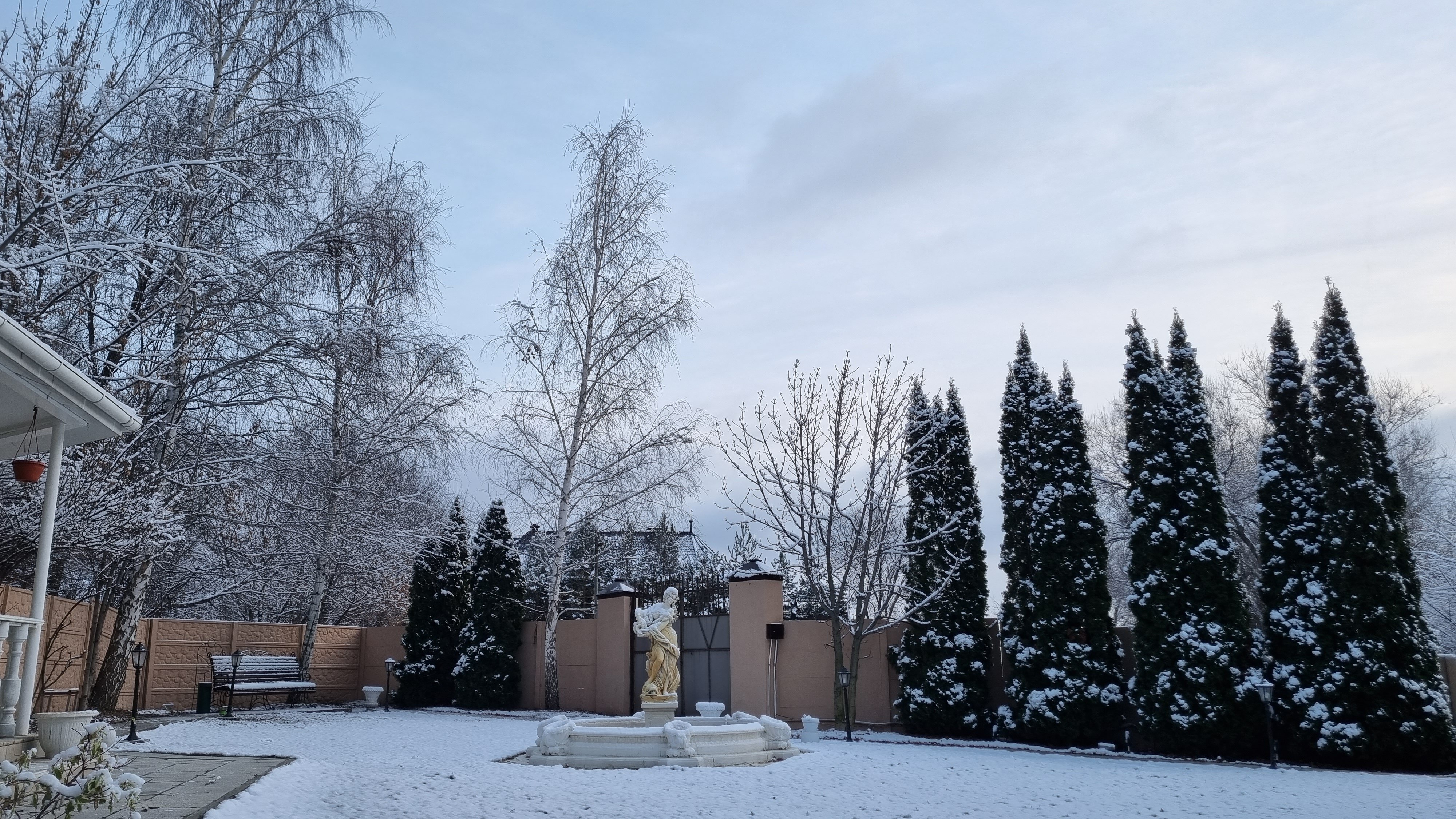 Фото Журавли