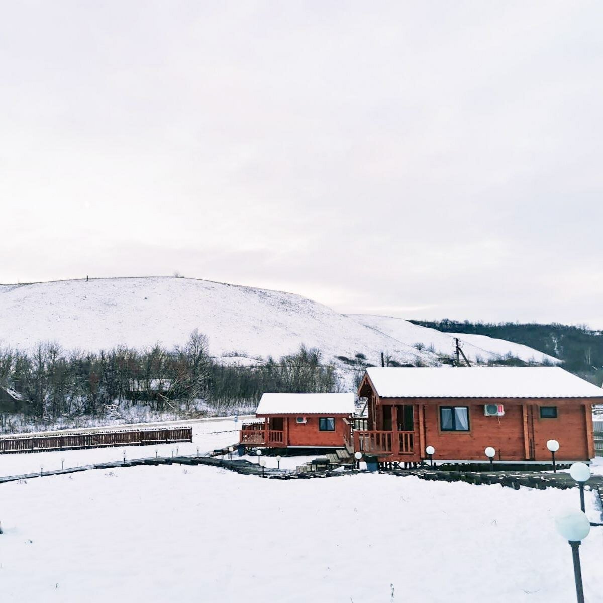 Фото Тихие Дивы