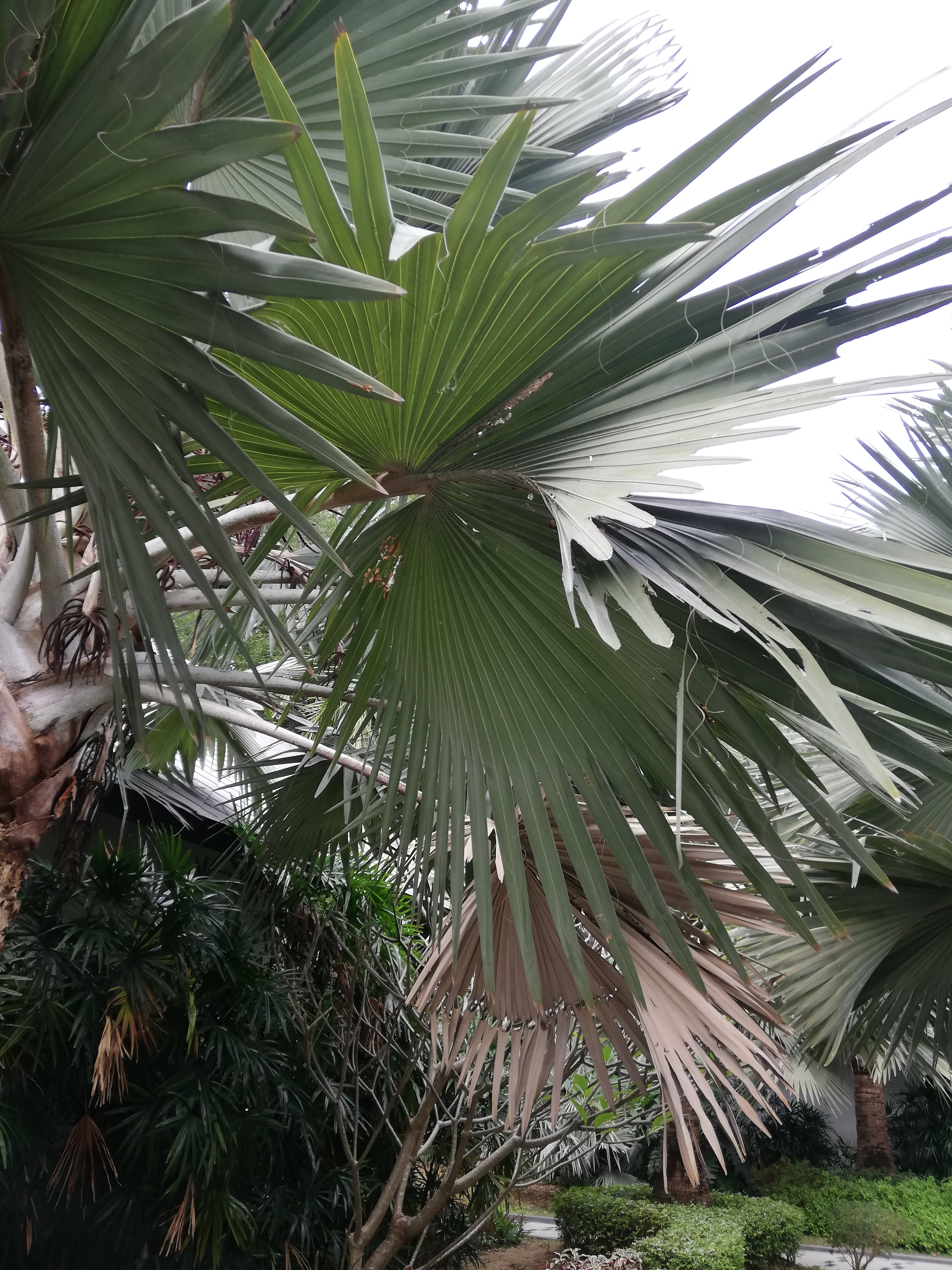 Фото Long Beach Pavilion