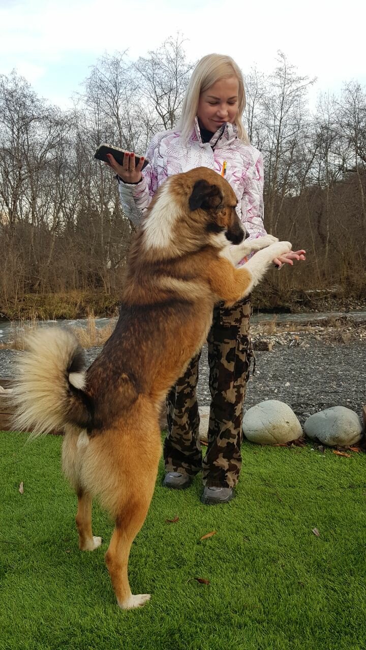 Фото Ривер Хаус