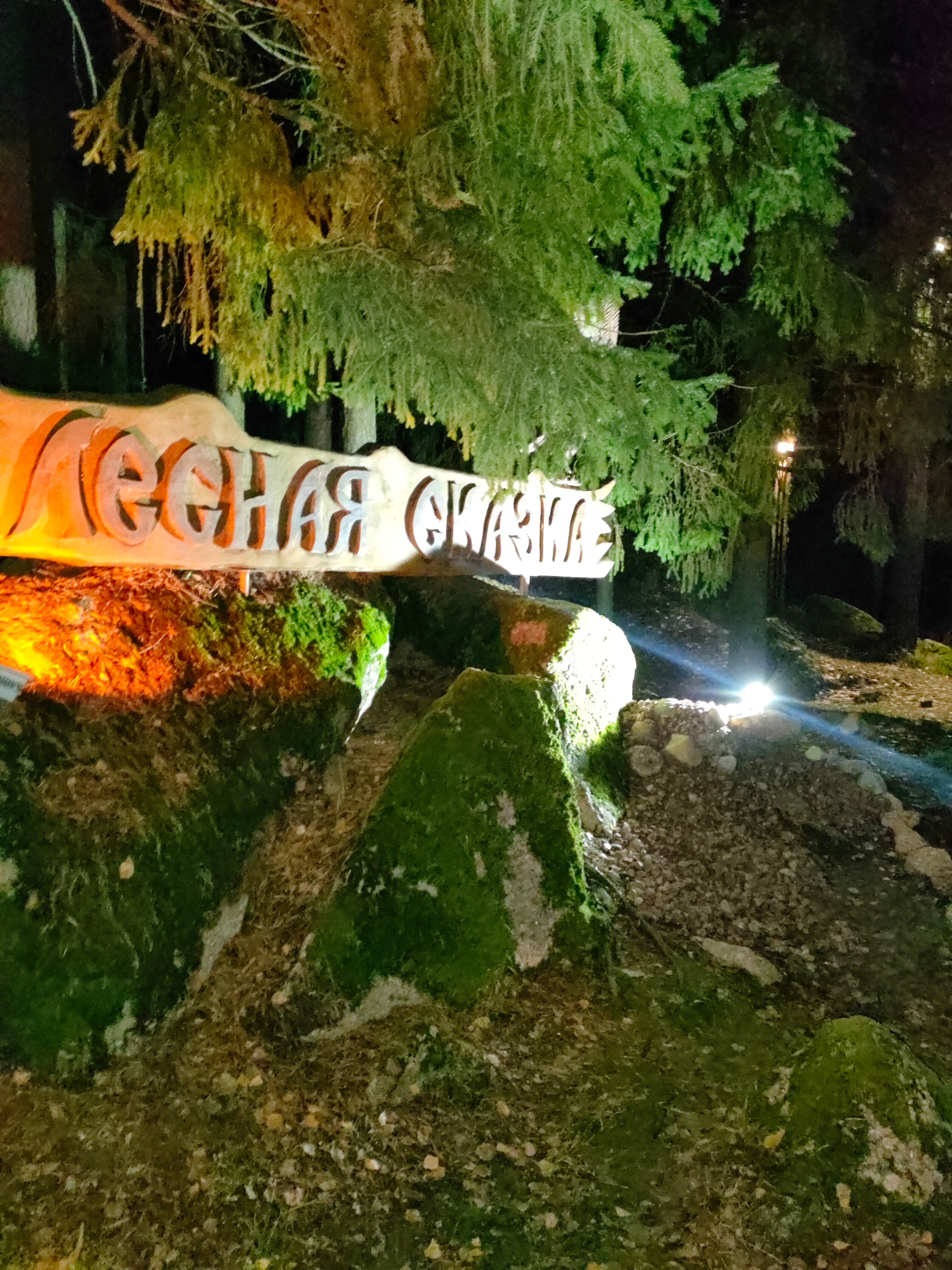 Фото Лесная сказка