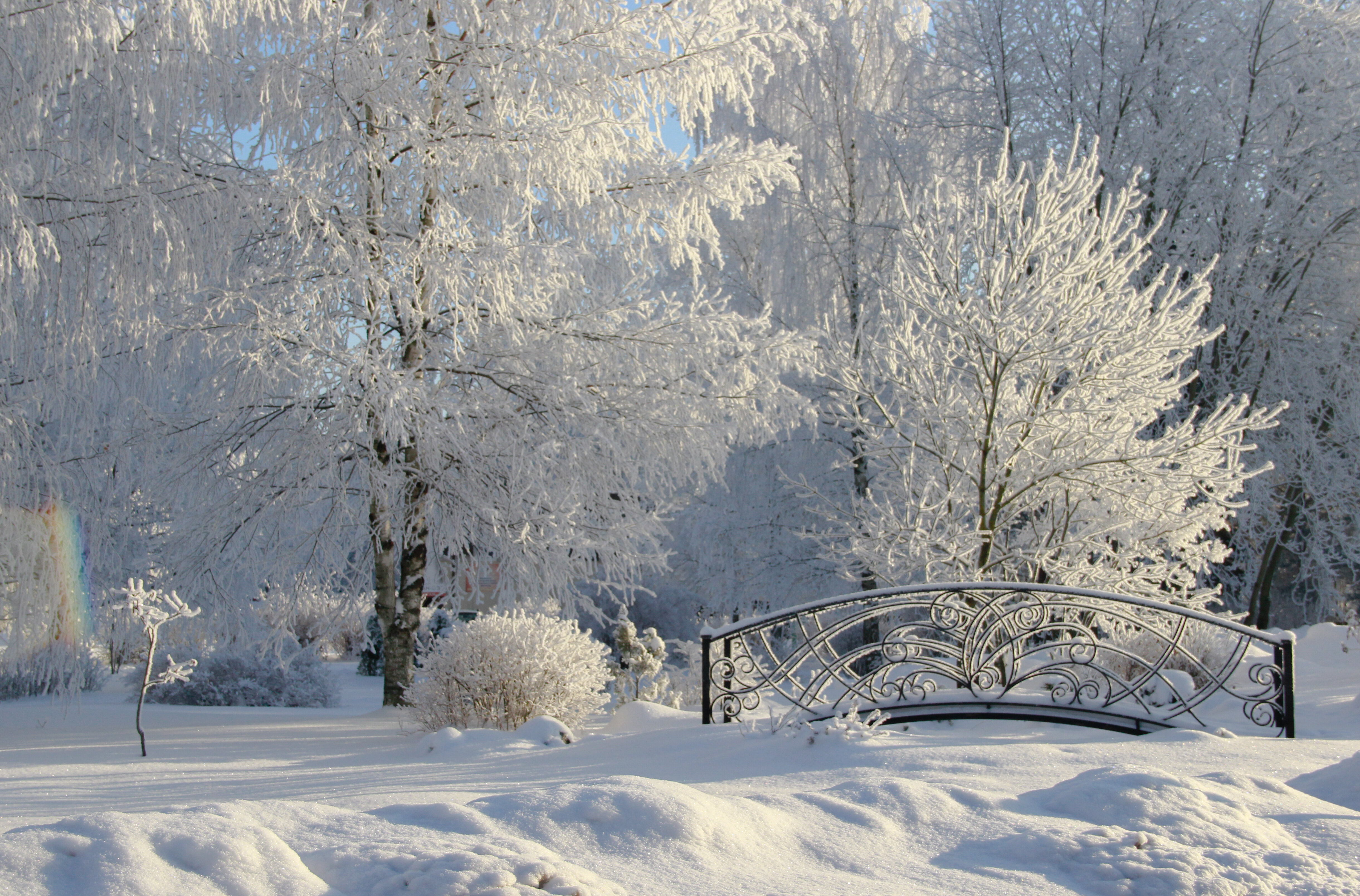 Фото Береста Парк