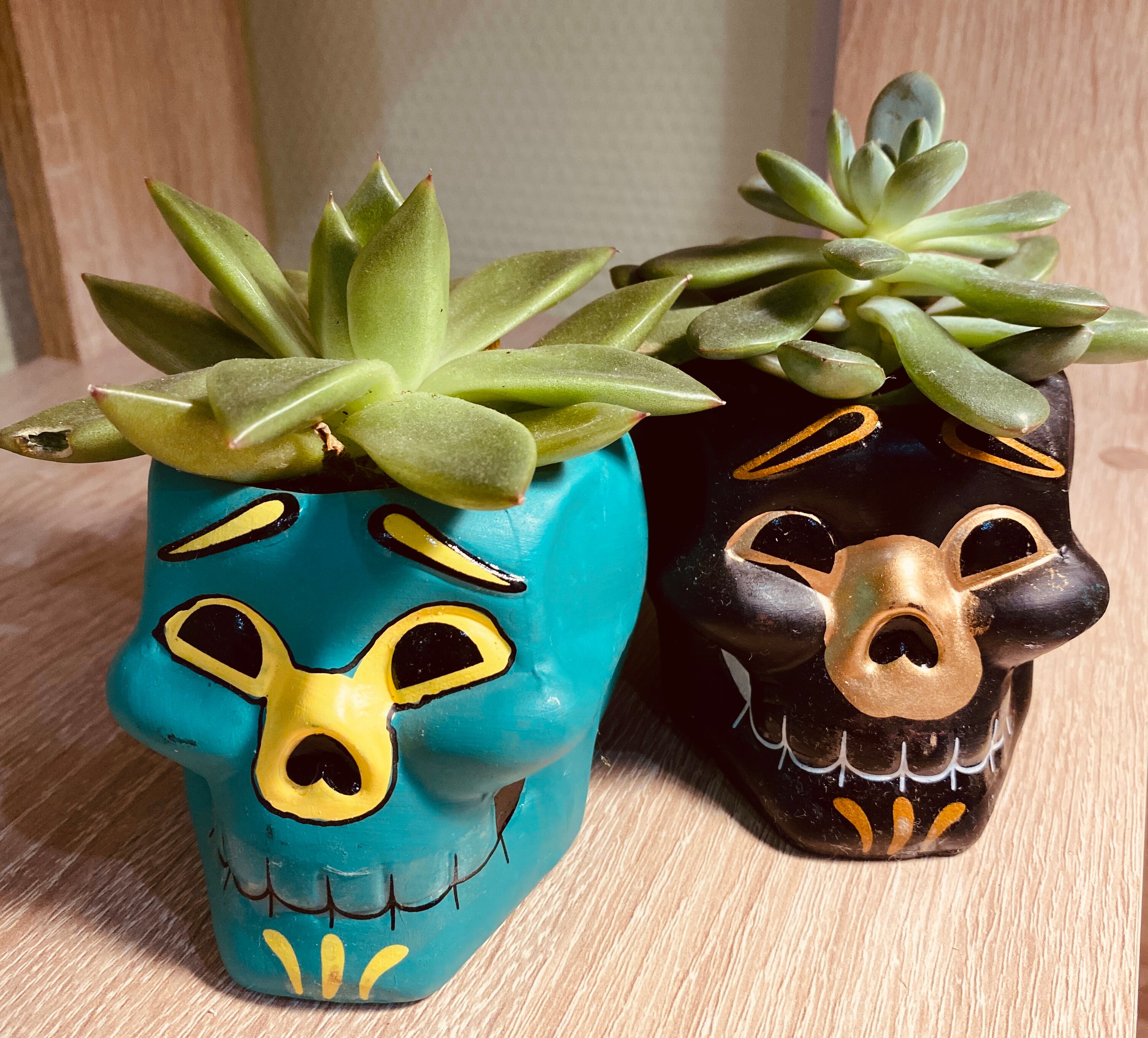 Фото Клуб Путешественников