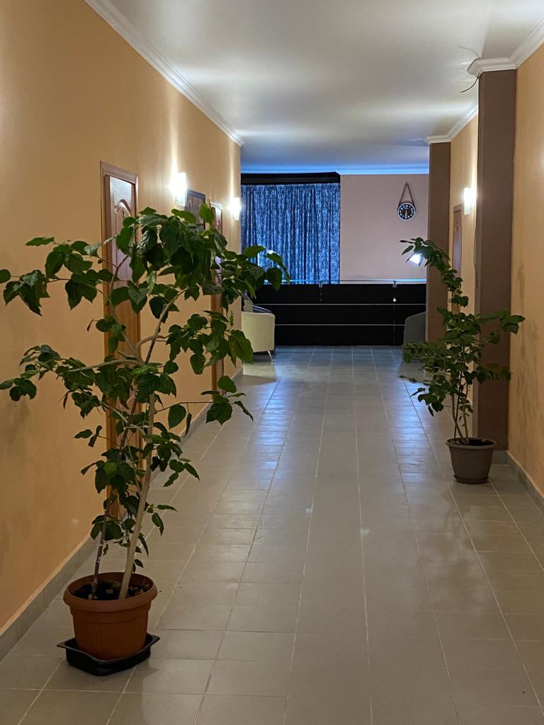 Фото Прованс