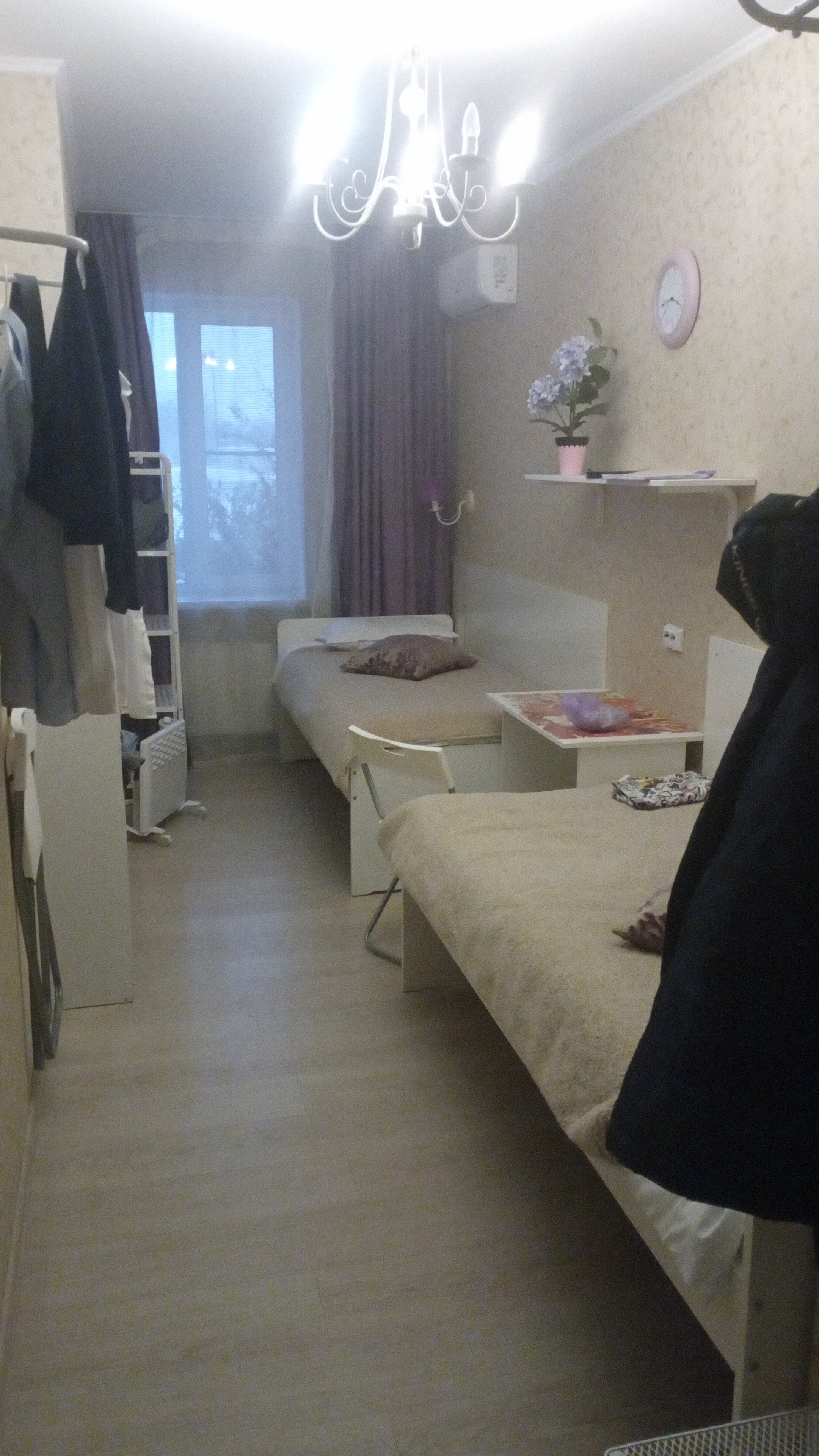 Фото Crocus Star