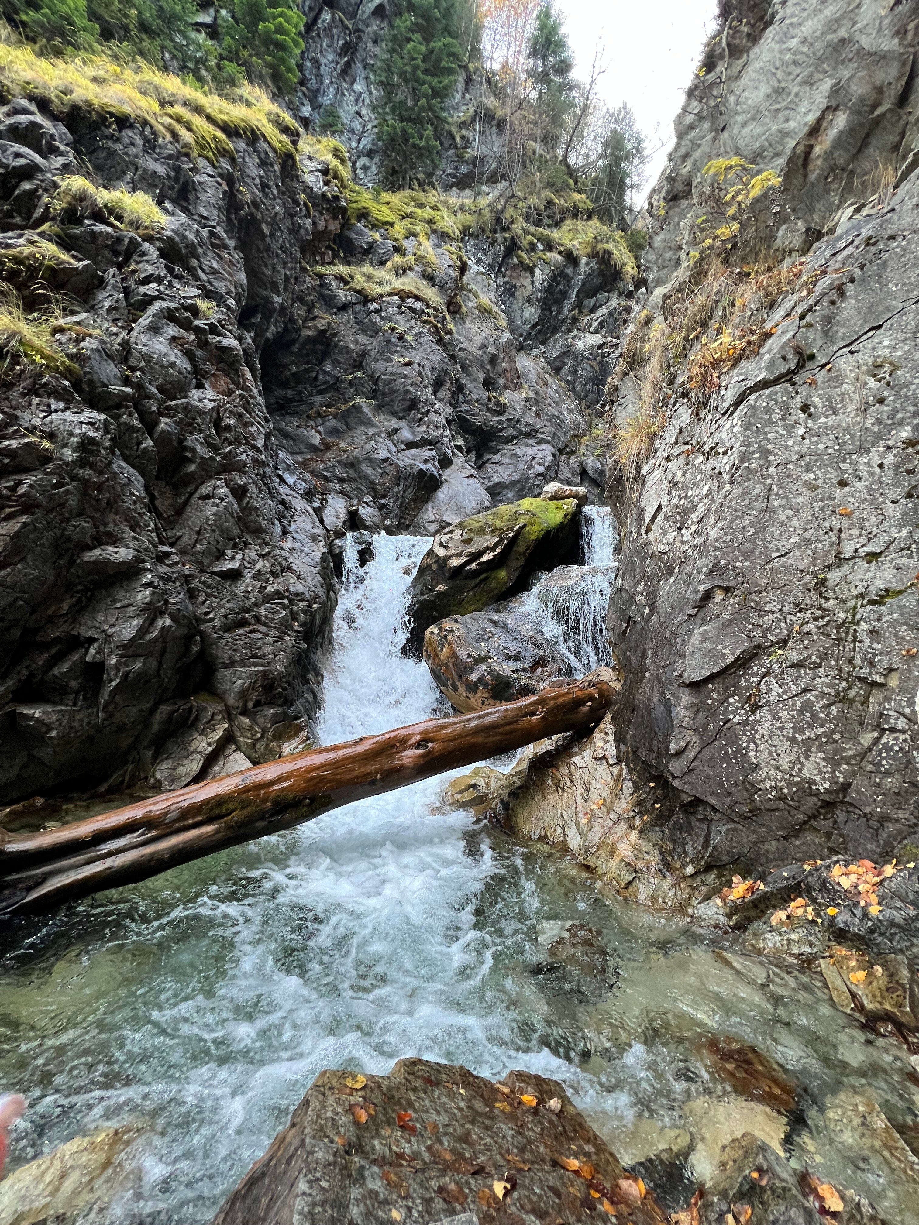 Фото Тебриз