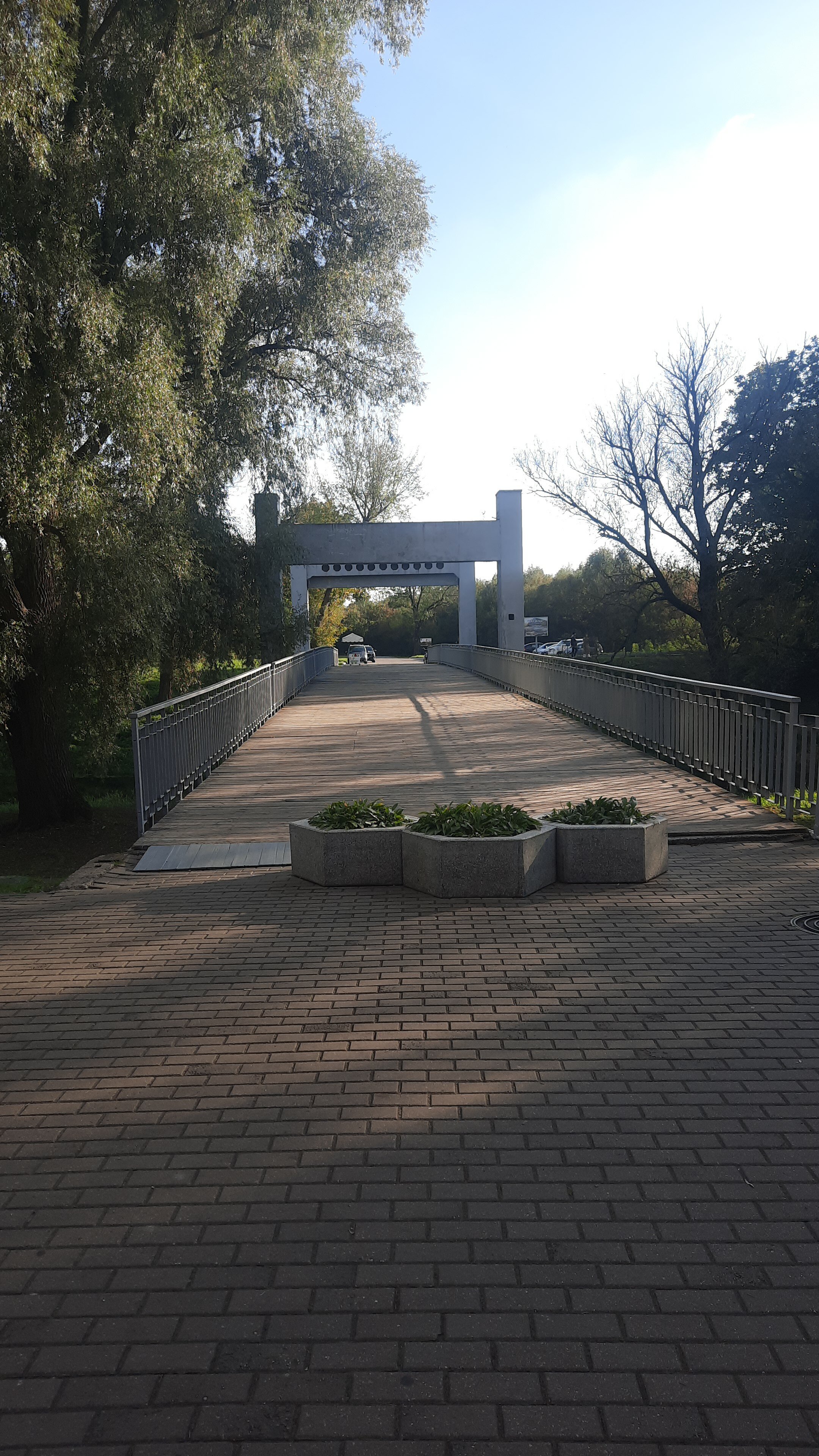 Фото Molodezhnaya