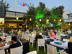 Lodos Balik Restaurant (İstanbul, Maltepe, Turgut Özal Blv., 77/1), restaurant
