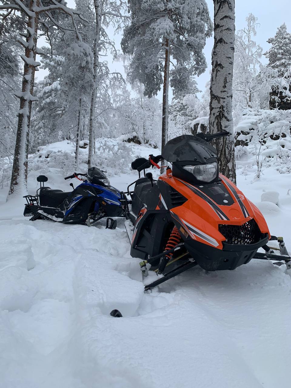 Фото Липкиглэмп