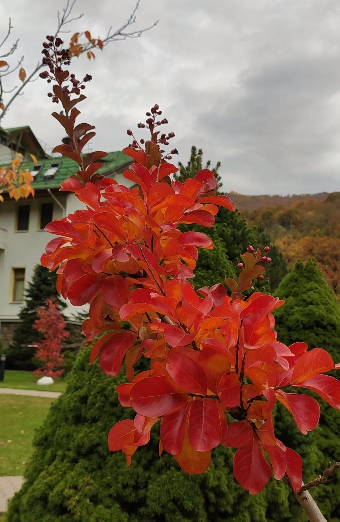 Фото Вилла Гранд Поляна