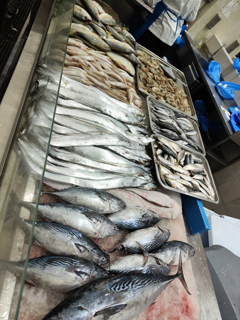 New Fish Market of Sharjah, Uae, fish and seafood, Al Qasimiah, Al Jubail, Al Corniche Street, 3