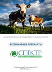 Спектр (Tekhnicheskaya Street, 52), veterinary drugs and equipment