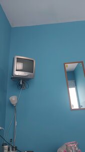 Сафари