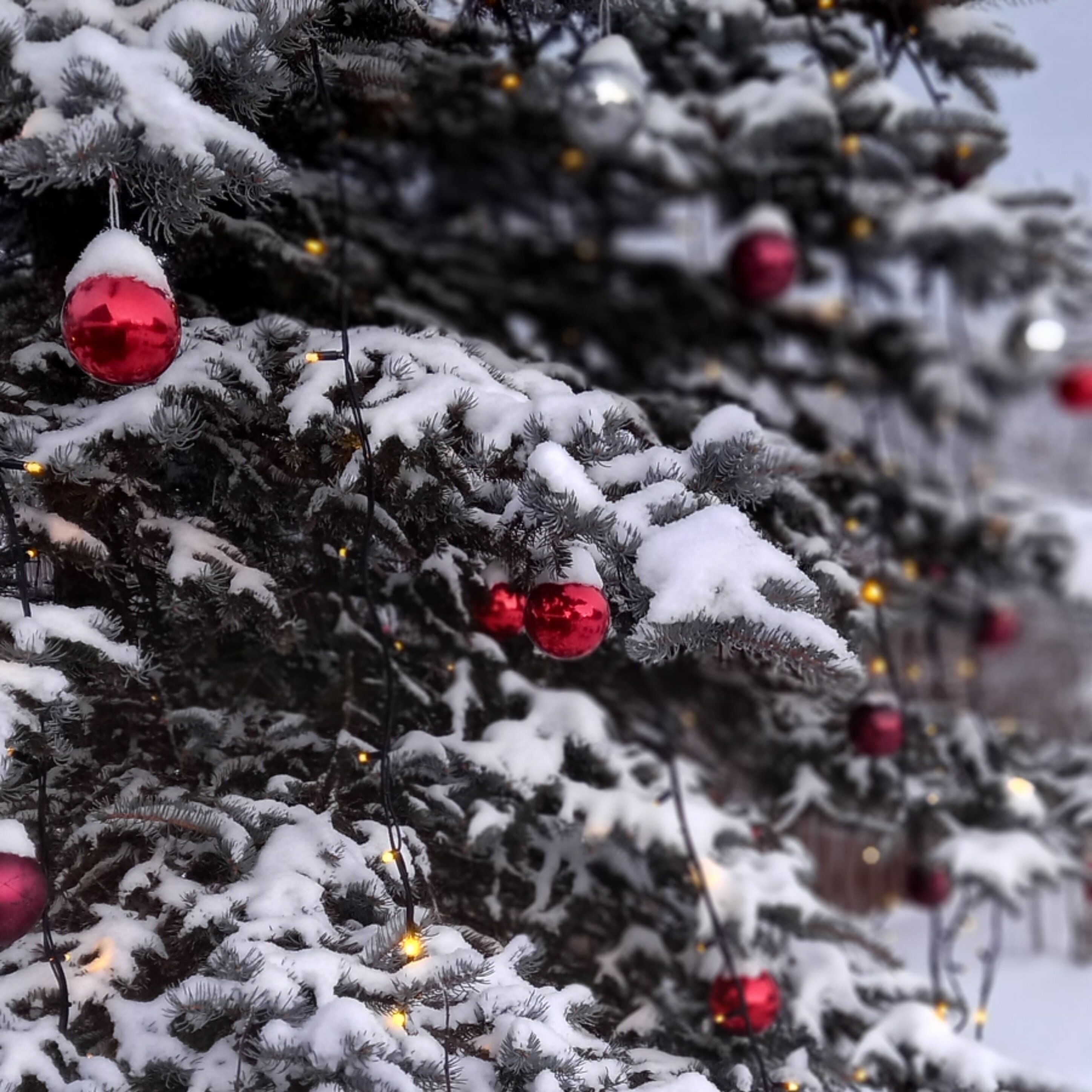 Фото Суздальский Дворик