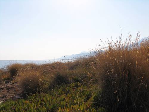 Фото Afroditi Apartments